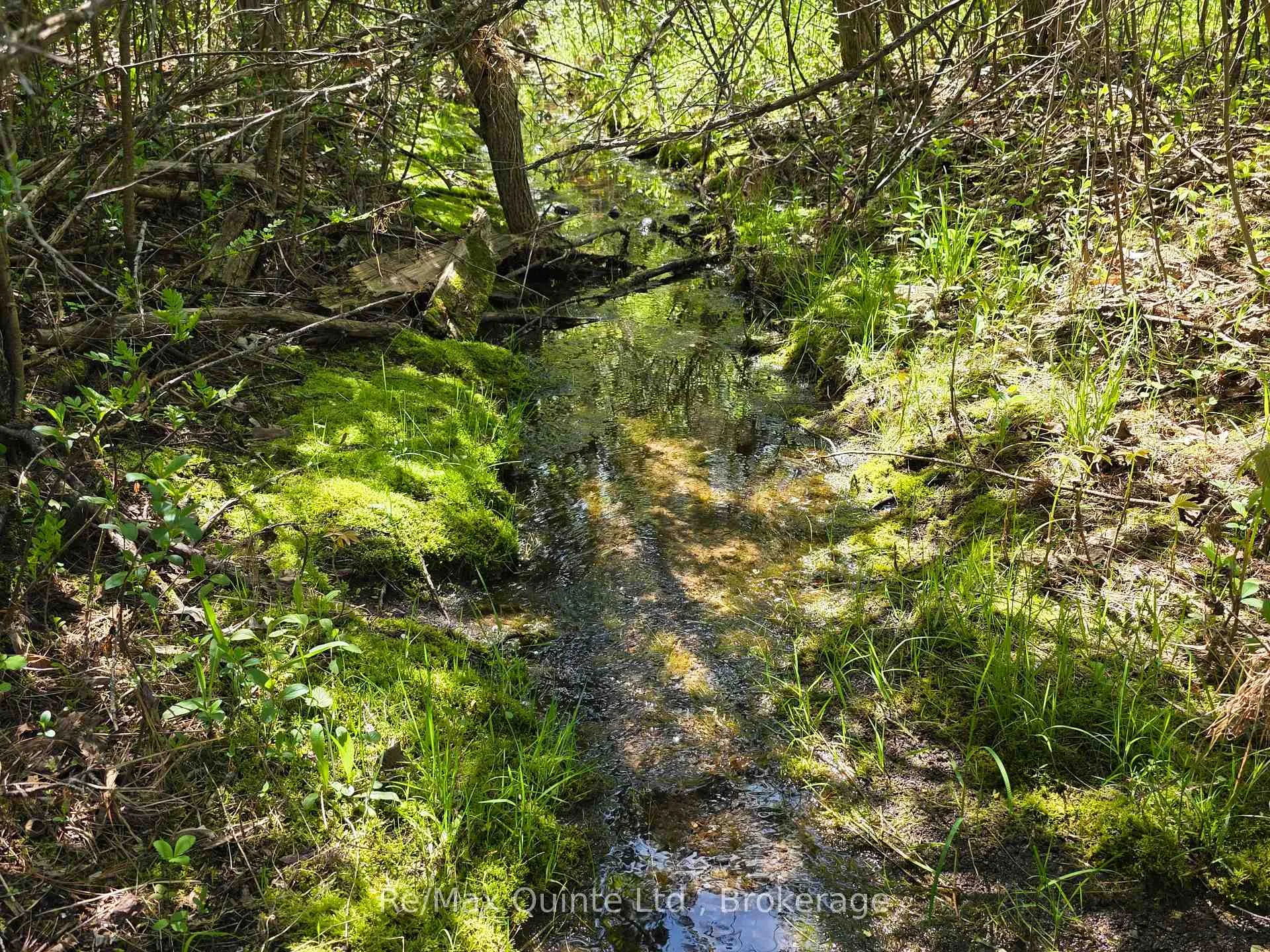 Photo 9 of Across From 3904 Cty Rd 49, Prince Edward County, Sophiasburg Ward — HOMEH