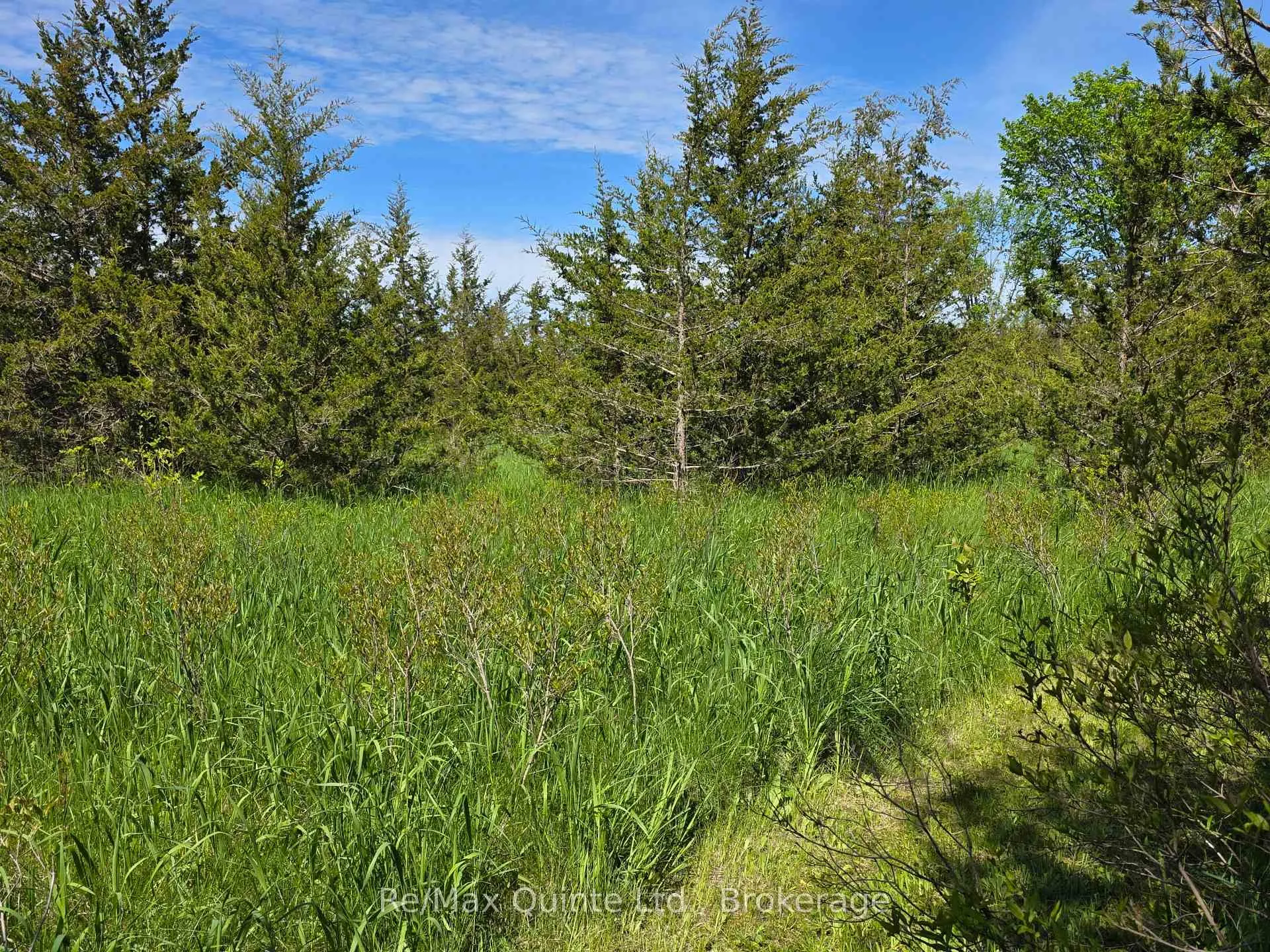 Photo 10 of Across From 3904 Cty Rd 49, Prince Edward County, Sophiasburg Ward — HOMEH