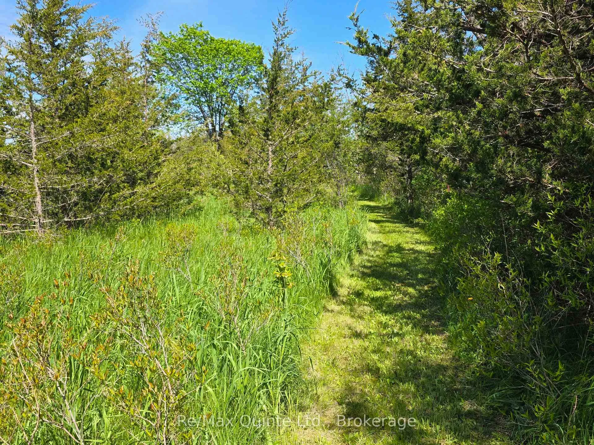 Photo 11 of Across From 3904 Cty Rd 49, Prince Edward County, Sophiasburg Ward — HOMEH
