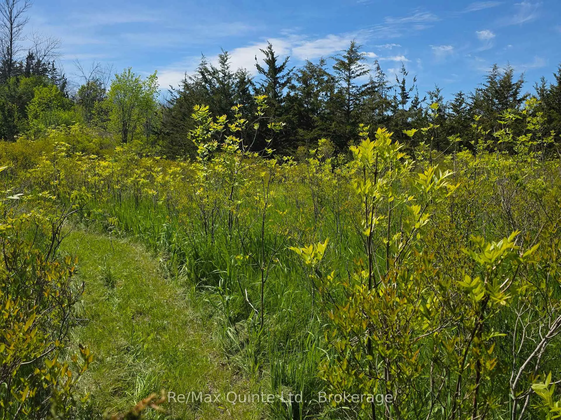 Photo 12 of Across From 3904 Cty Rd 49, Prince Edward County, Sophiasburg Ward — HOMEH