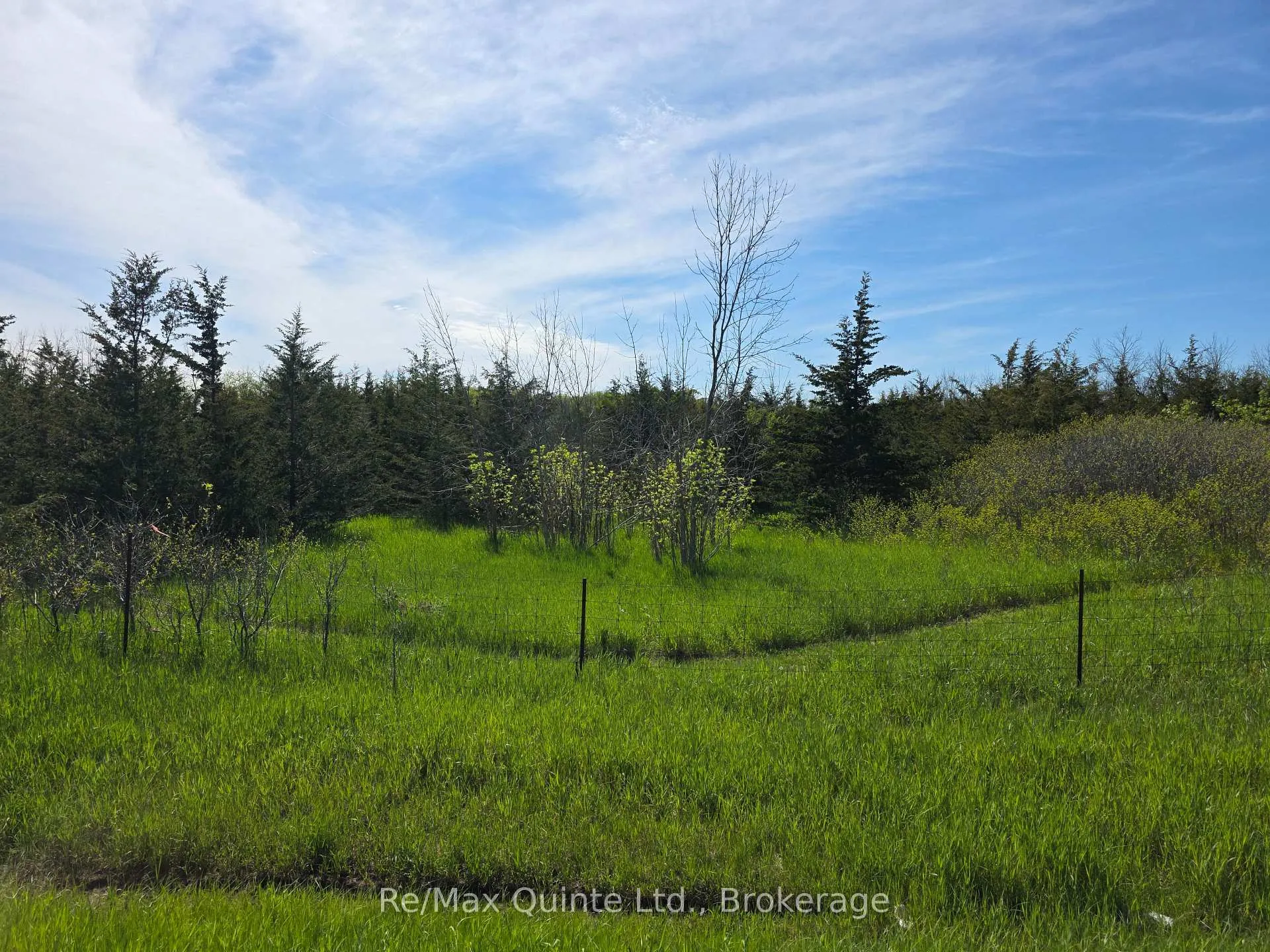 Photo 13 of Across From 3904 Cty Rd 49, Prince Edward County, Sophiasburg Ward — HOMEH