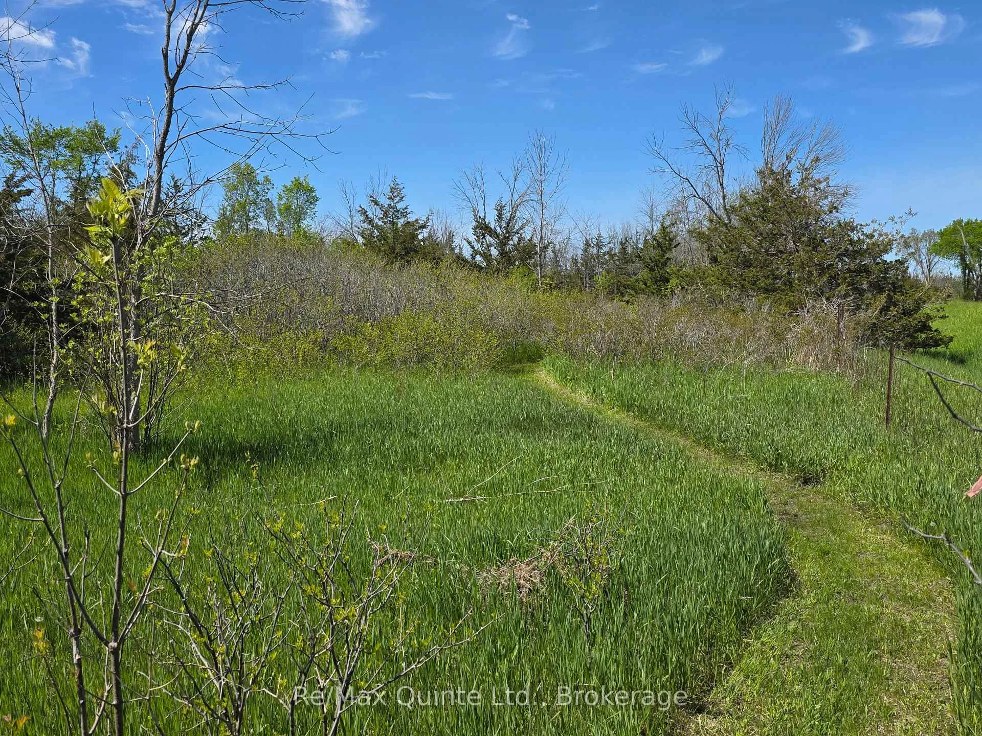 Photo 14 of Across From 3904 Cty Rd 49, Prince Edward County, Sophiasburg Ward — HOMEH