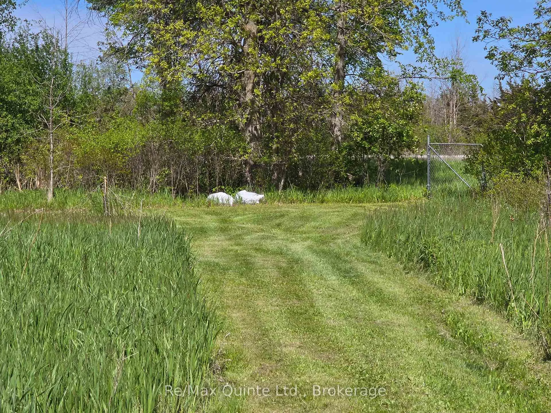 Photo 15 of Across From 3904 Cty Rd 49, Prince Edward County, Sophiasburg Ward — HOMEH