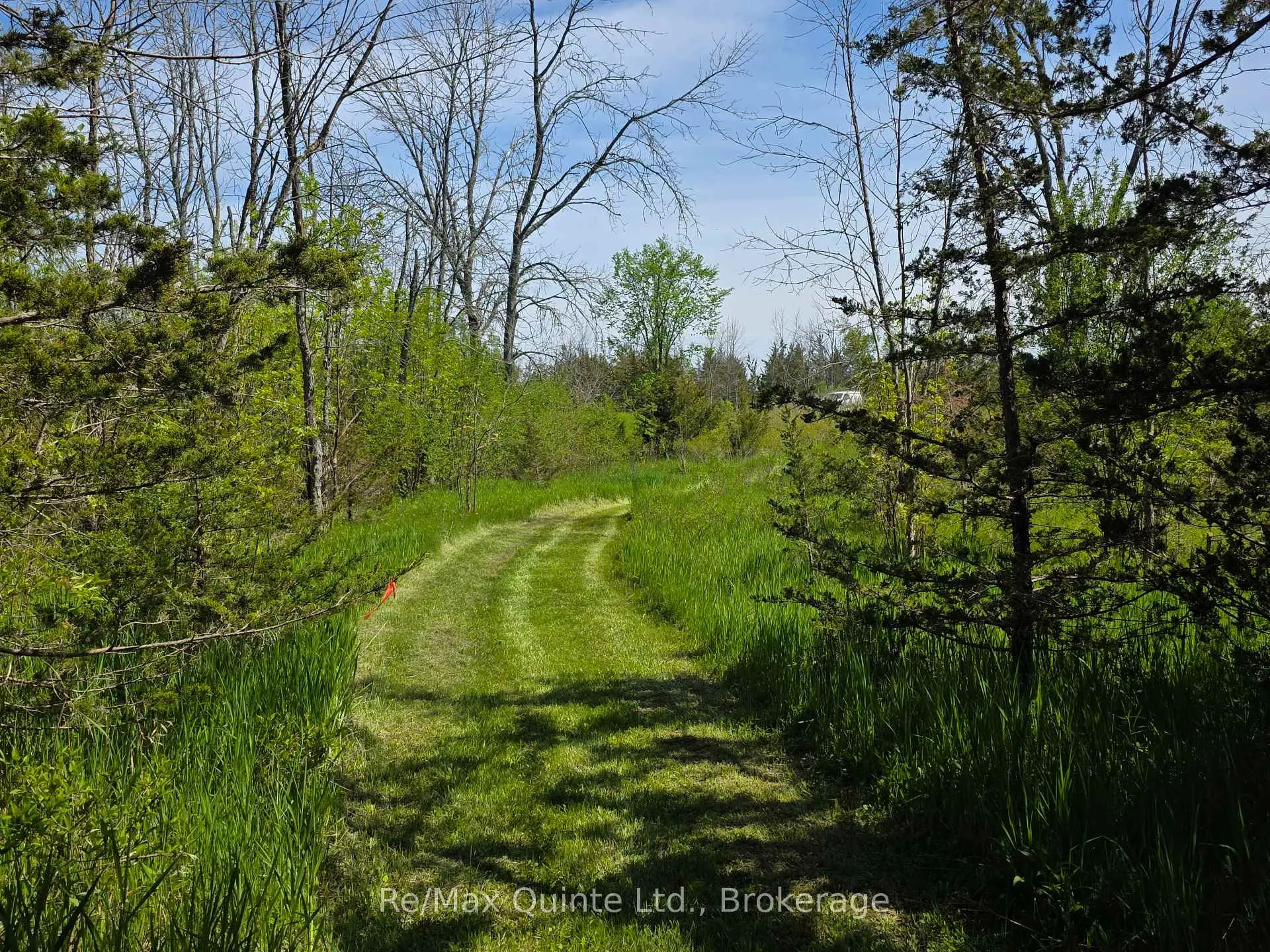 Photo 16 of Across From 3904 Cty Rd 49, Prince Edward County, Sophiasburg Ward — HOMEH