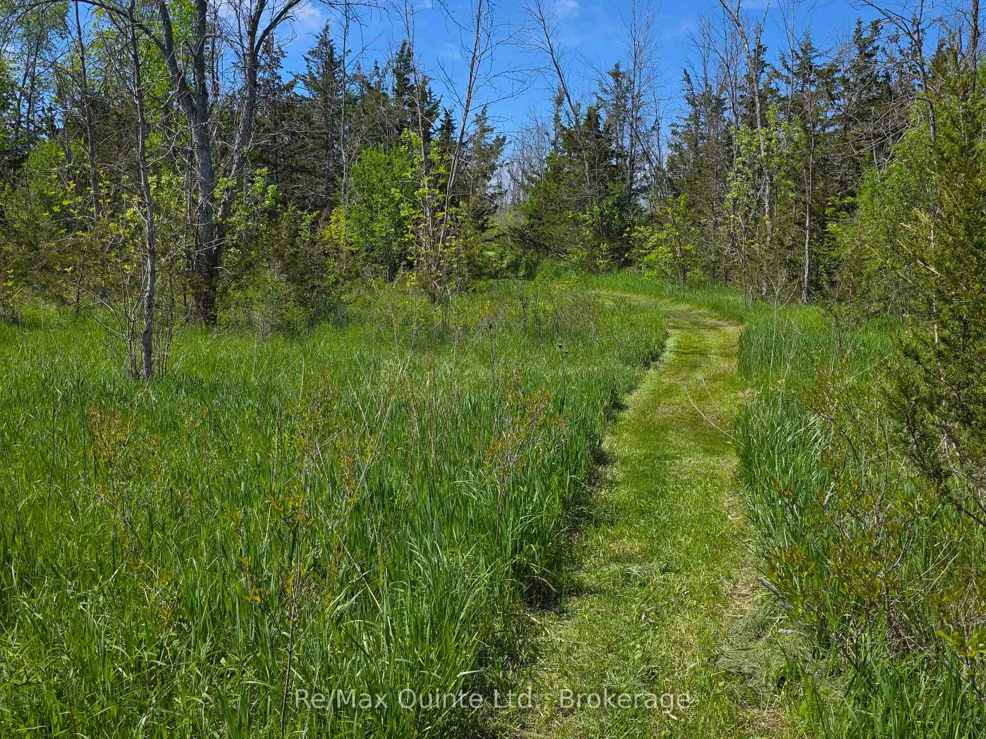 Photo 17 of Across From 3904 Cty Rd 49, Prince Edward County, Sophiasburg Ward — HOMEH