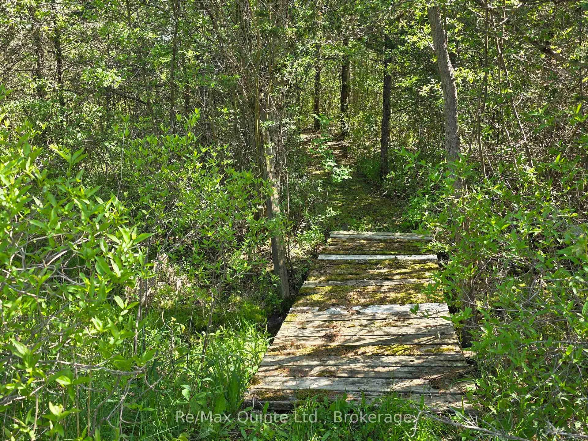 Photo 19 of Across From 3904 Cty Rd 49, Prince Edward County, Sophiasburg Ward — HOMEH