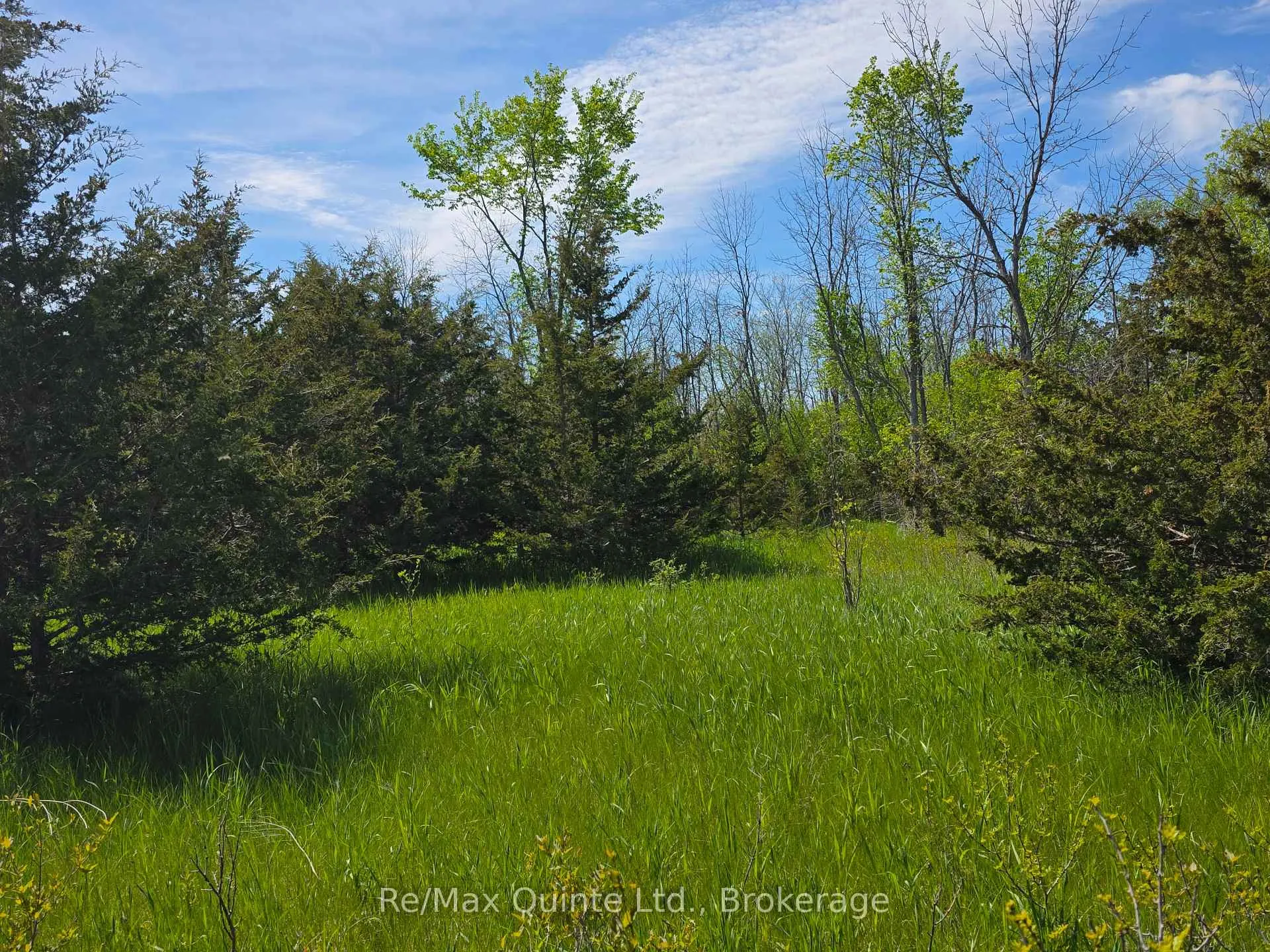 Photo 20 of Across From 3904 Cty Rd 49, Prince Edward County, Sophiasburg Ward — HOMEH