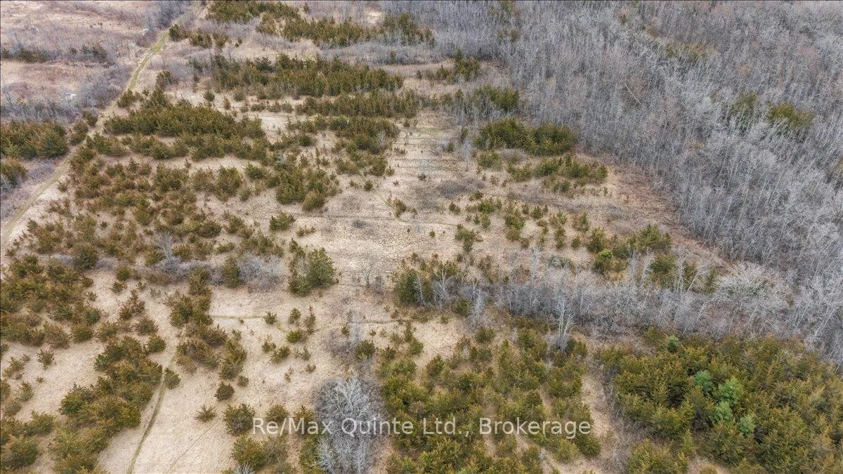 Photo 32 of Across From 3904 Cty Rd 49, Prince Edward County, Sophiasburg Ward — HOMEH