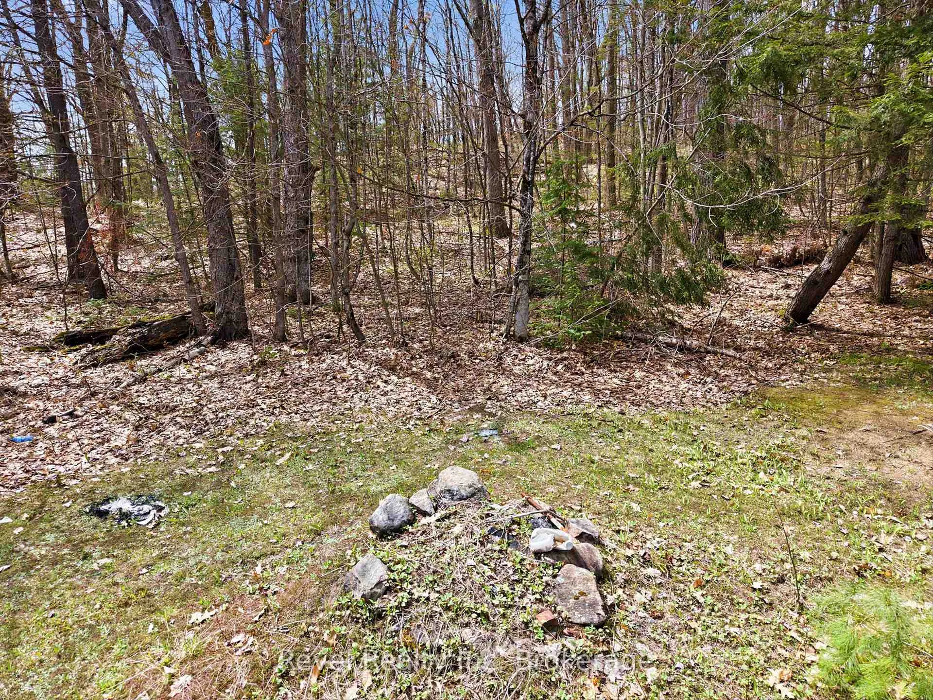 Photo 6 of 1163 Vankoughnet Road, Bracebridge, Oakley — HOMEH
