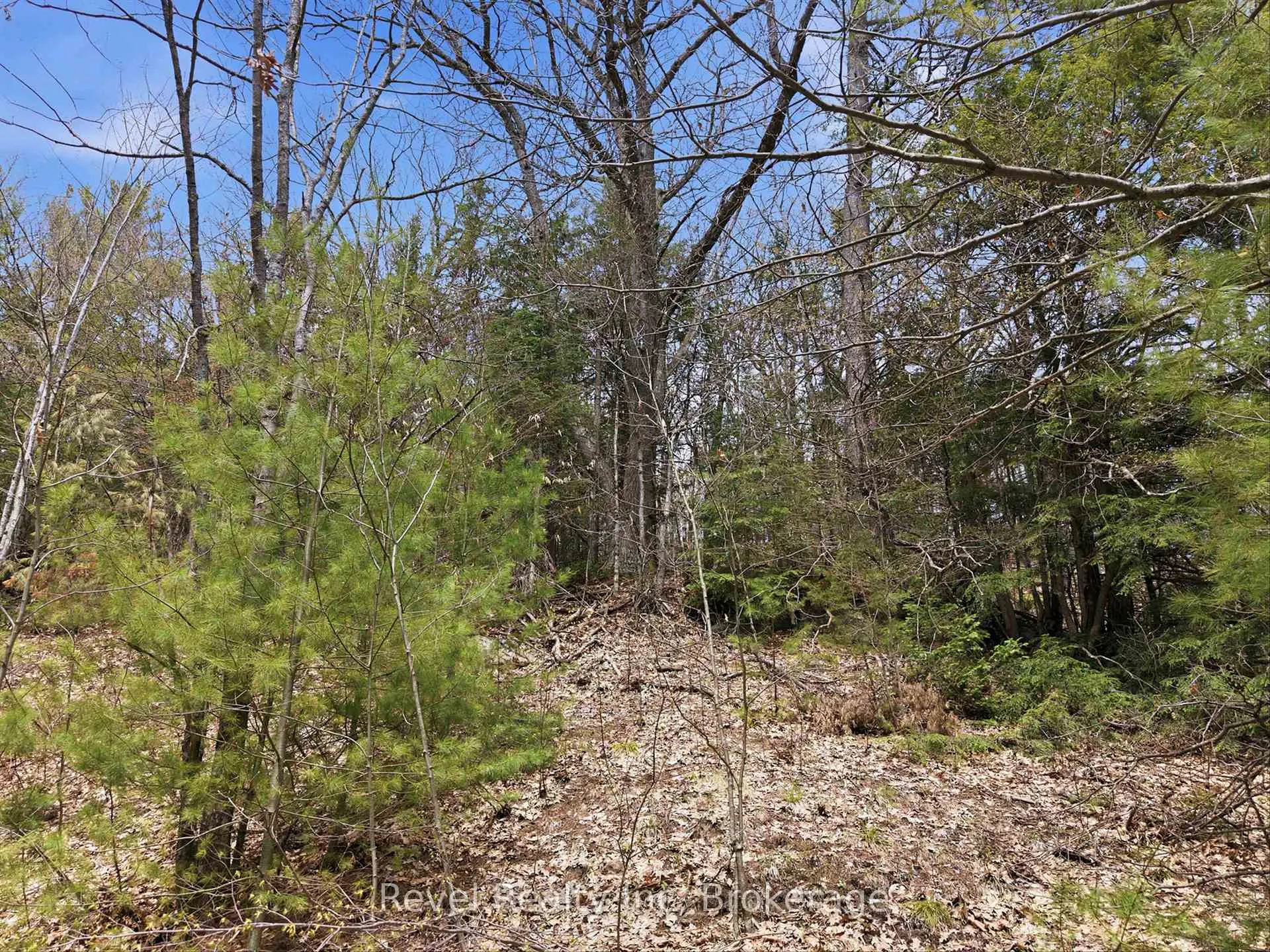 Photo 8 of 1163 Vankoughnet Road, Bracebridge, Oakley — HOMEH