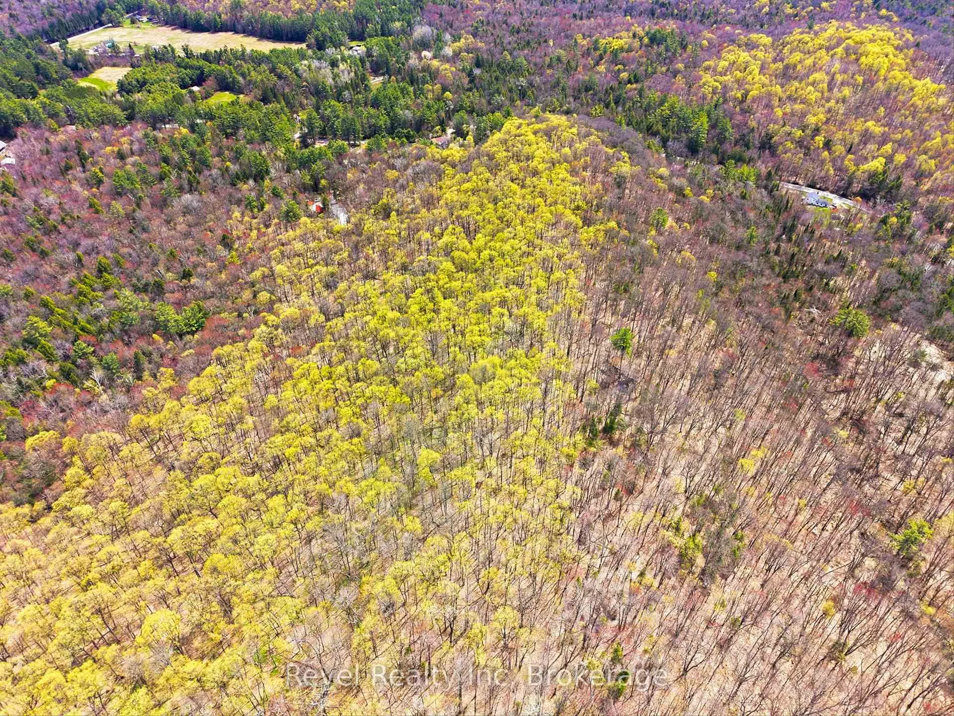Photo 14 of 1163 Vankoughnet Road, Bracebridge, Oakley — HOMEH