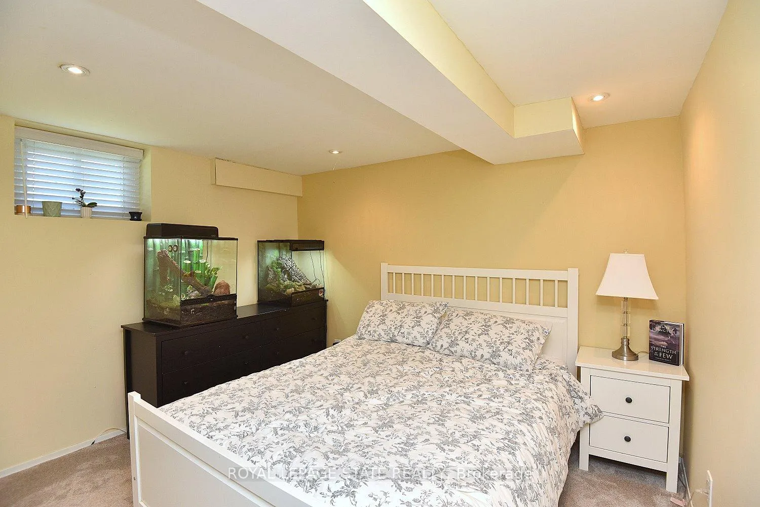 Photo 6 of 9 San Fernando Drive, Hamilton, Mountview — HOMEH