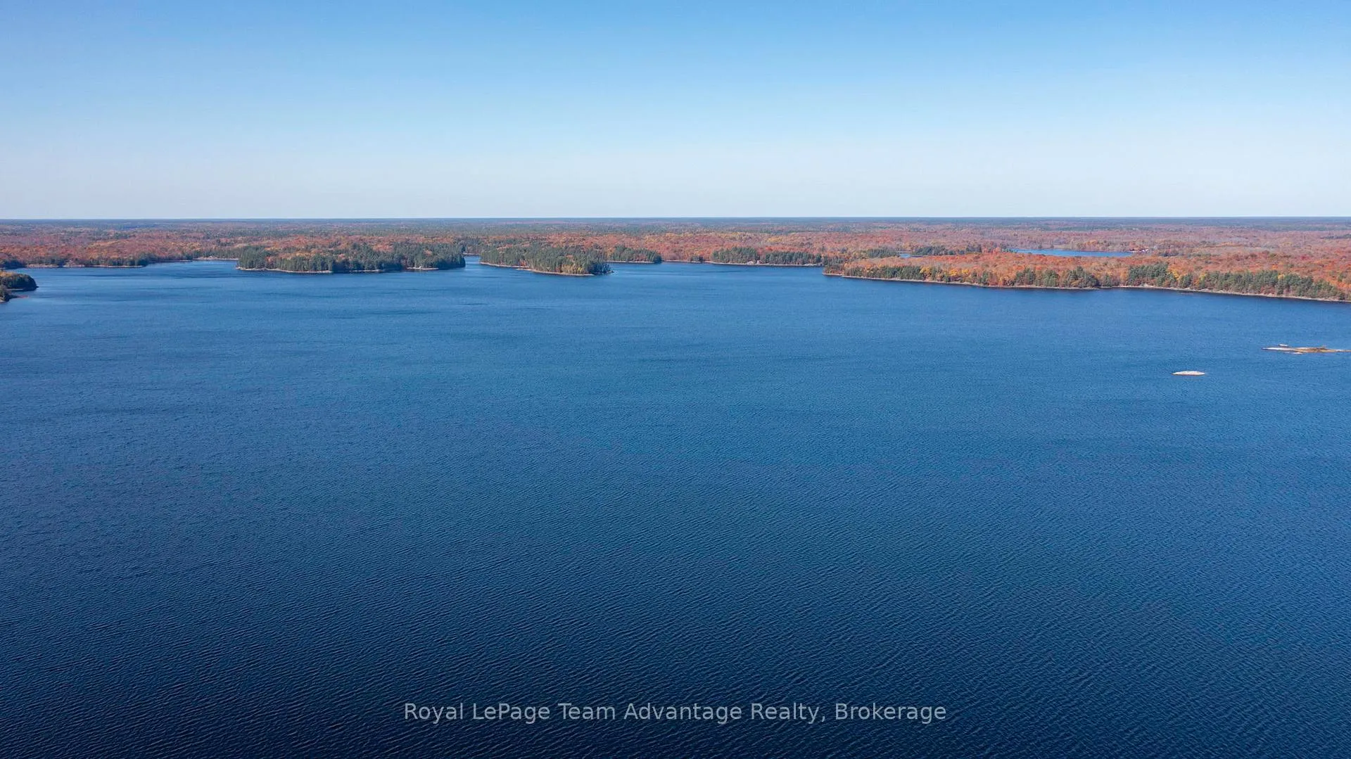 Photo 10 of 81 Amorak Trail, Whitestone — HOMEH