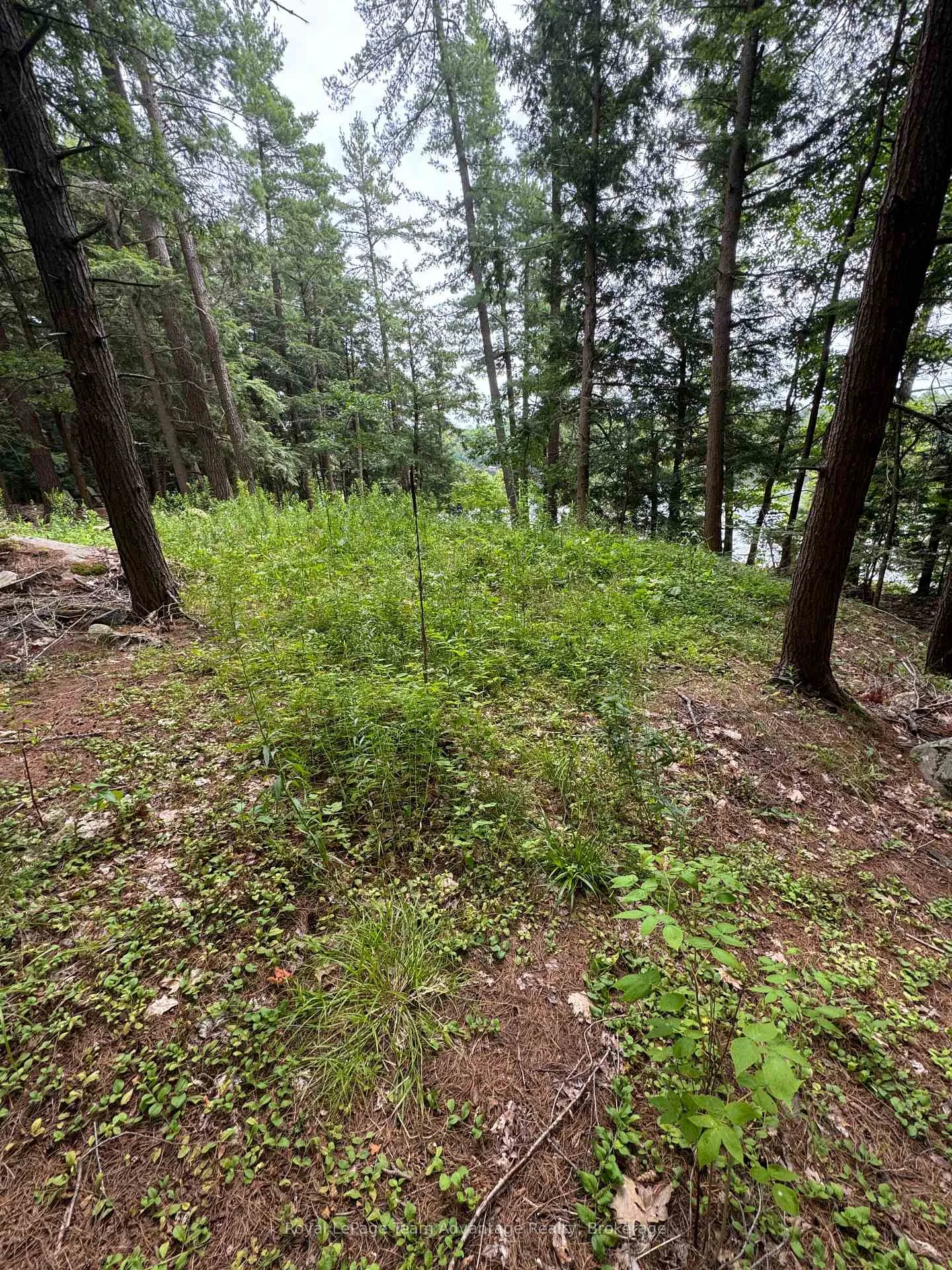 Photo 25 of 81 Amorak Trail, Whitestone — HOMEH