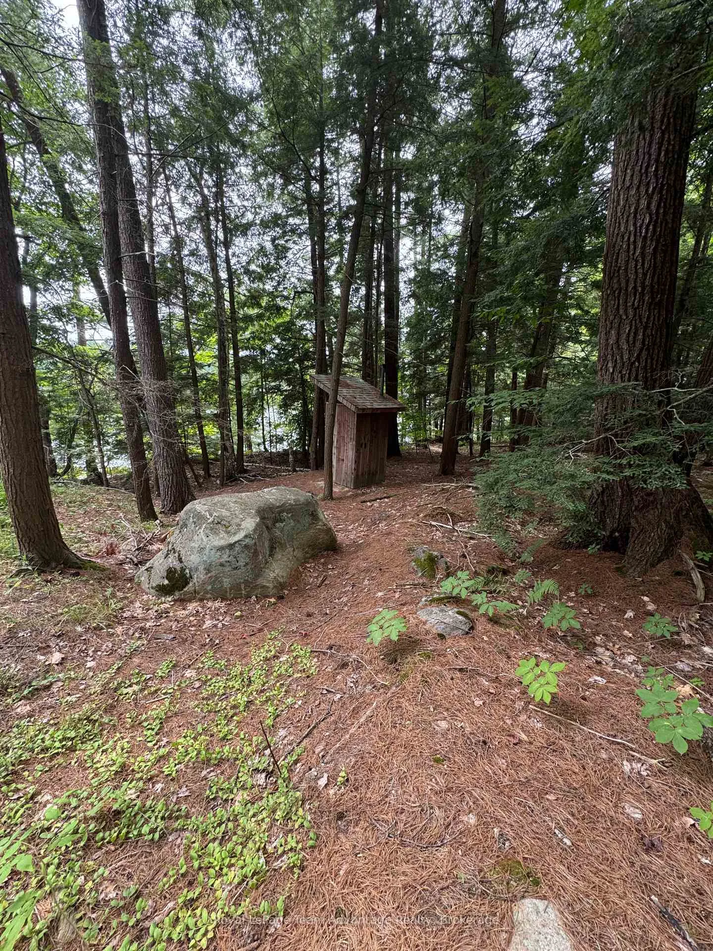 Photo 26 of 81 Amorak Trail, Whitestone — HOMEH