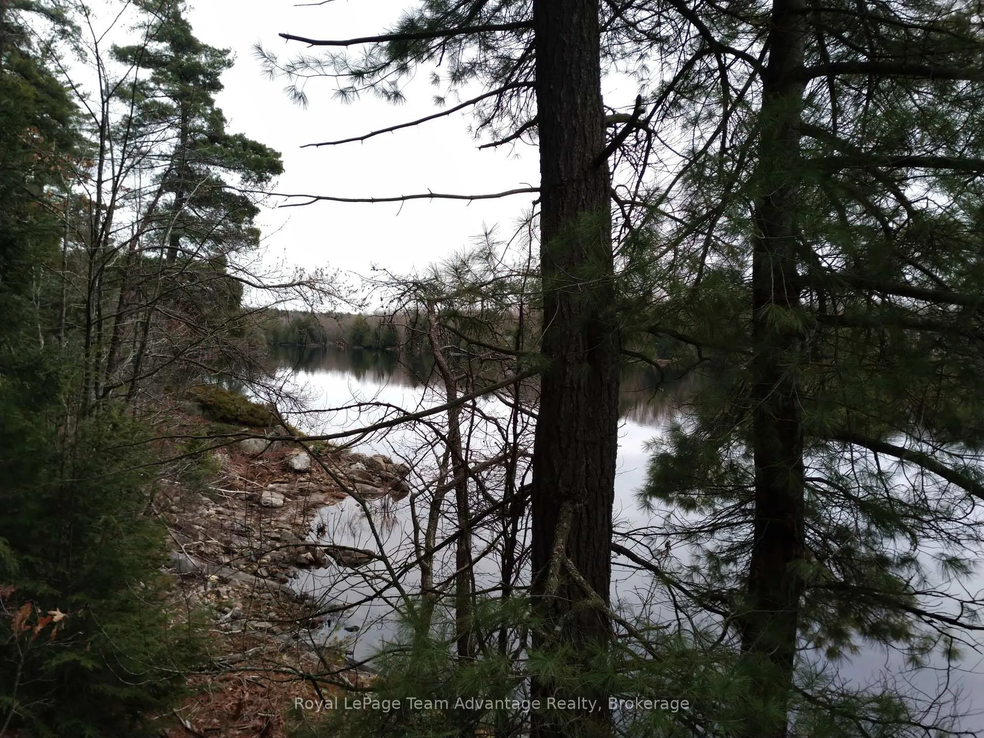 Photo 35 of 81 Amorak Trail, Whitestone — HOMEH
