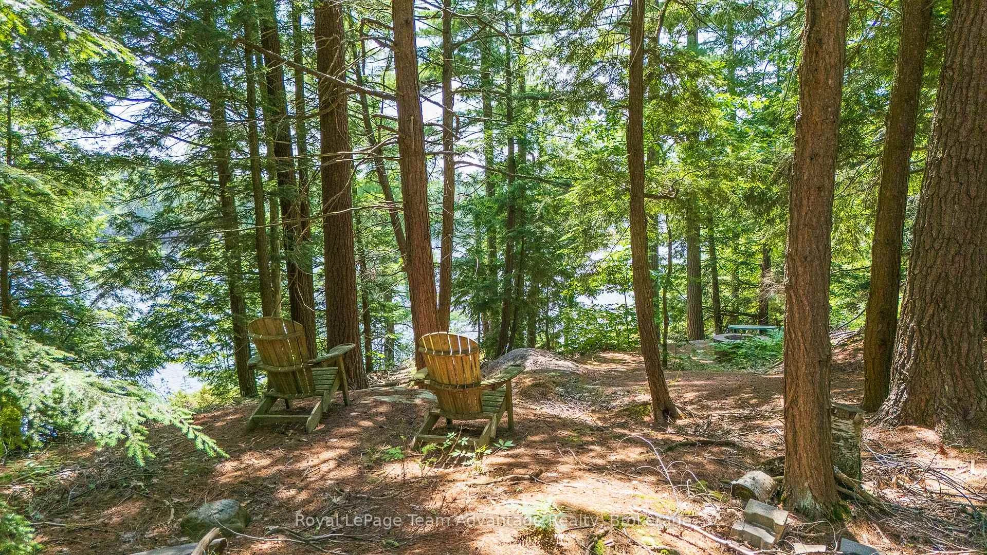 Photo 4 of 81 Amorak Trail, Whitestone — HOMEH