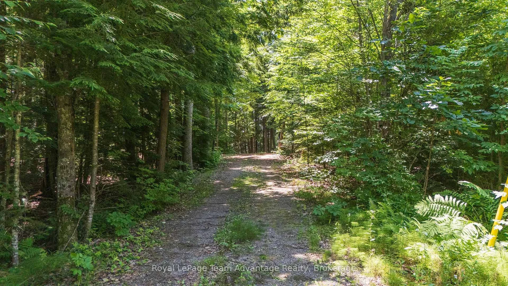 Photo 7 of 81 Amorak Trail, Whitestone — HOMEH