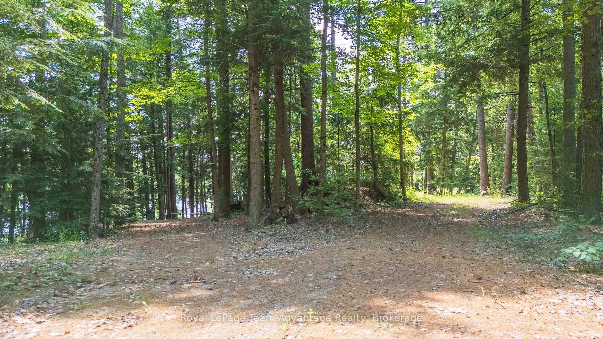 Photo 8 of 81 Amorak Trail, Whitestone — HOMEH