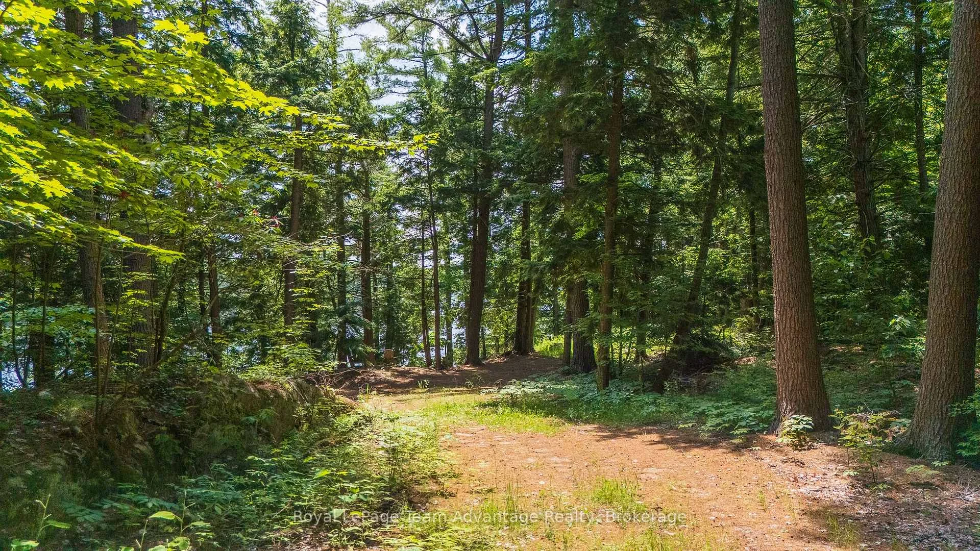Photo 9 of 81 Amorak Trail, Whitestone — HOMEH