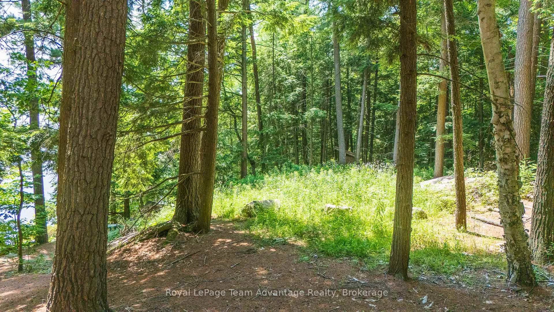 Photo 12 of 81 Amorak Trail, Whitestone — HOMEH
