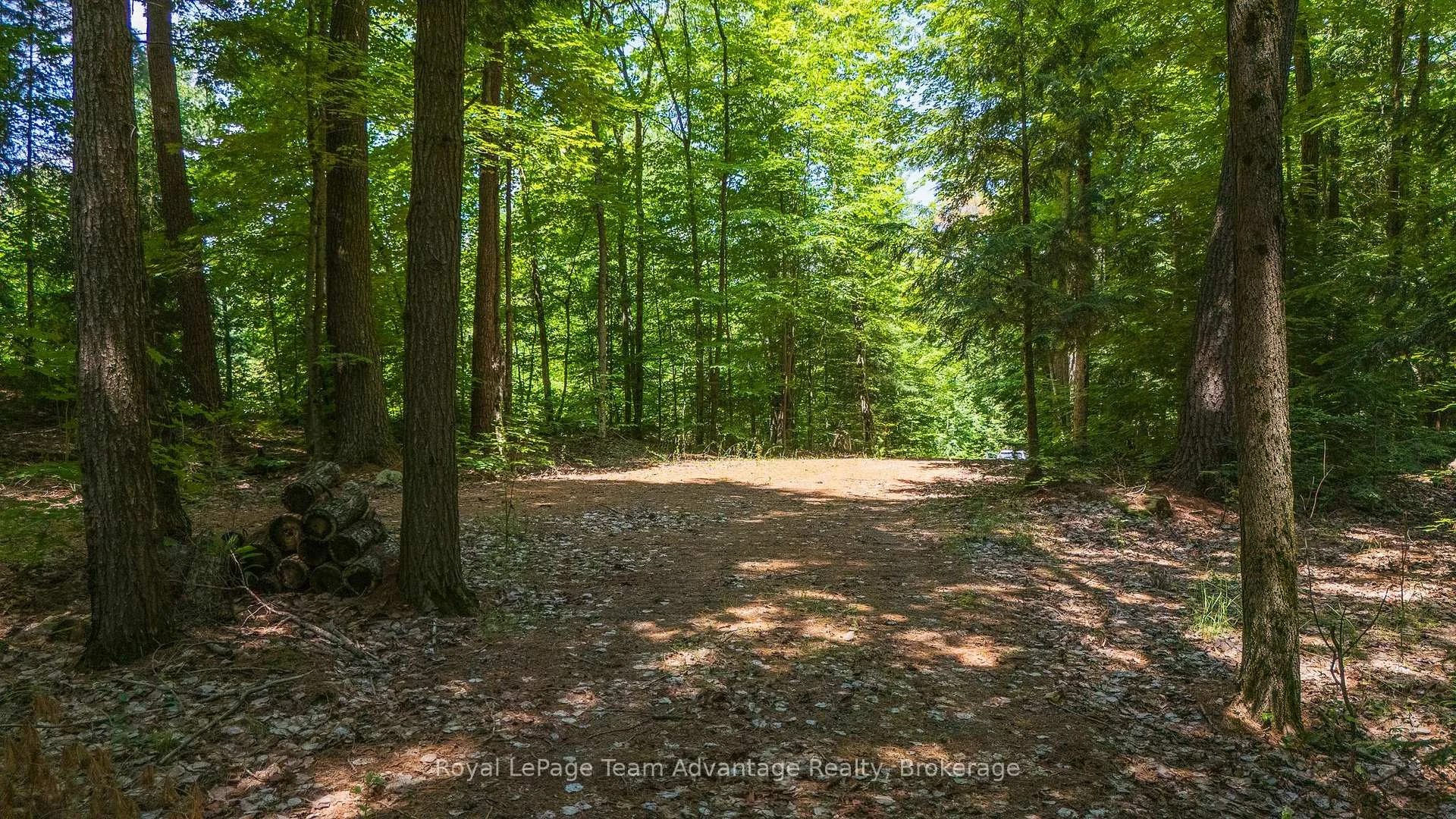 Photo 13 of 81 Amorak Trail, Whitestone — HOMEH