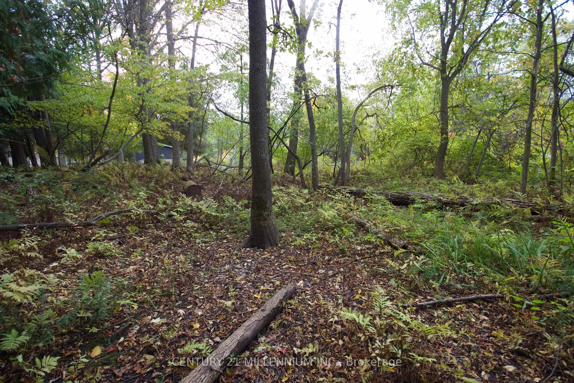 Photo 9 of 11 Knox Road E, Wasaga Beach — HOMEH