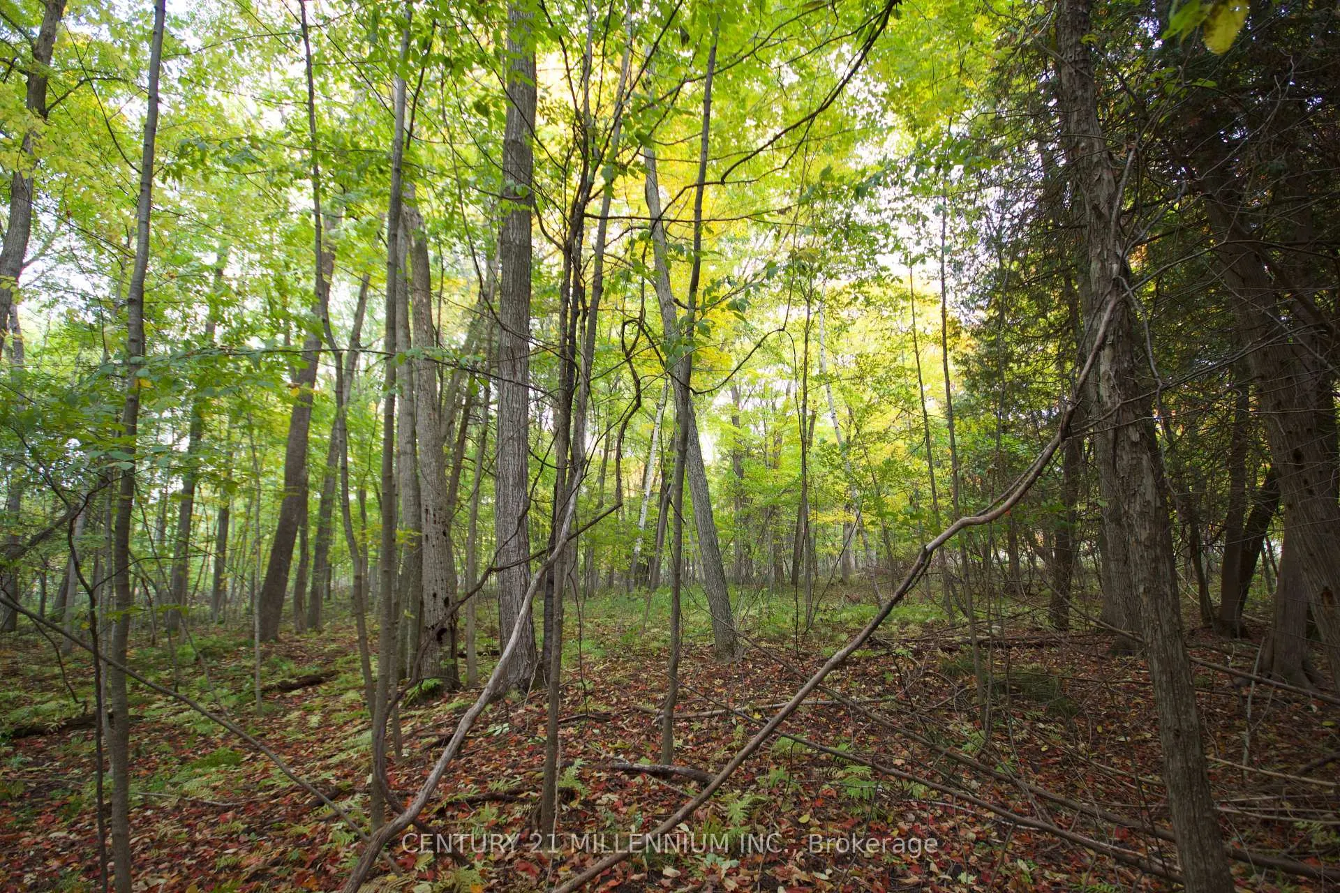 Photo 10 of 11 Knox Road E, Wasaga Beach — HOMEH