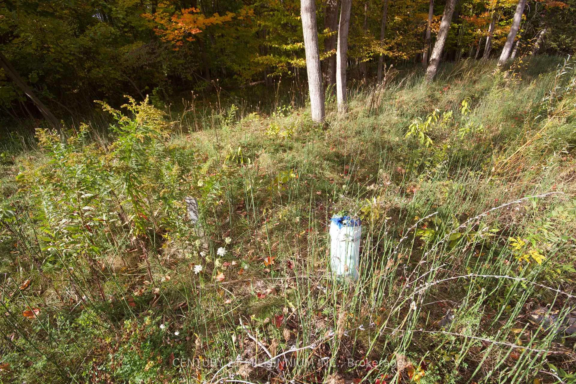 Photo 11 of 11 Knox Road E, Wasaga Beach — HOMEH