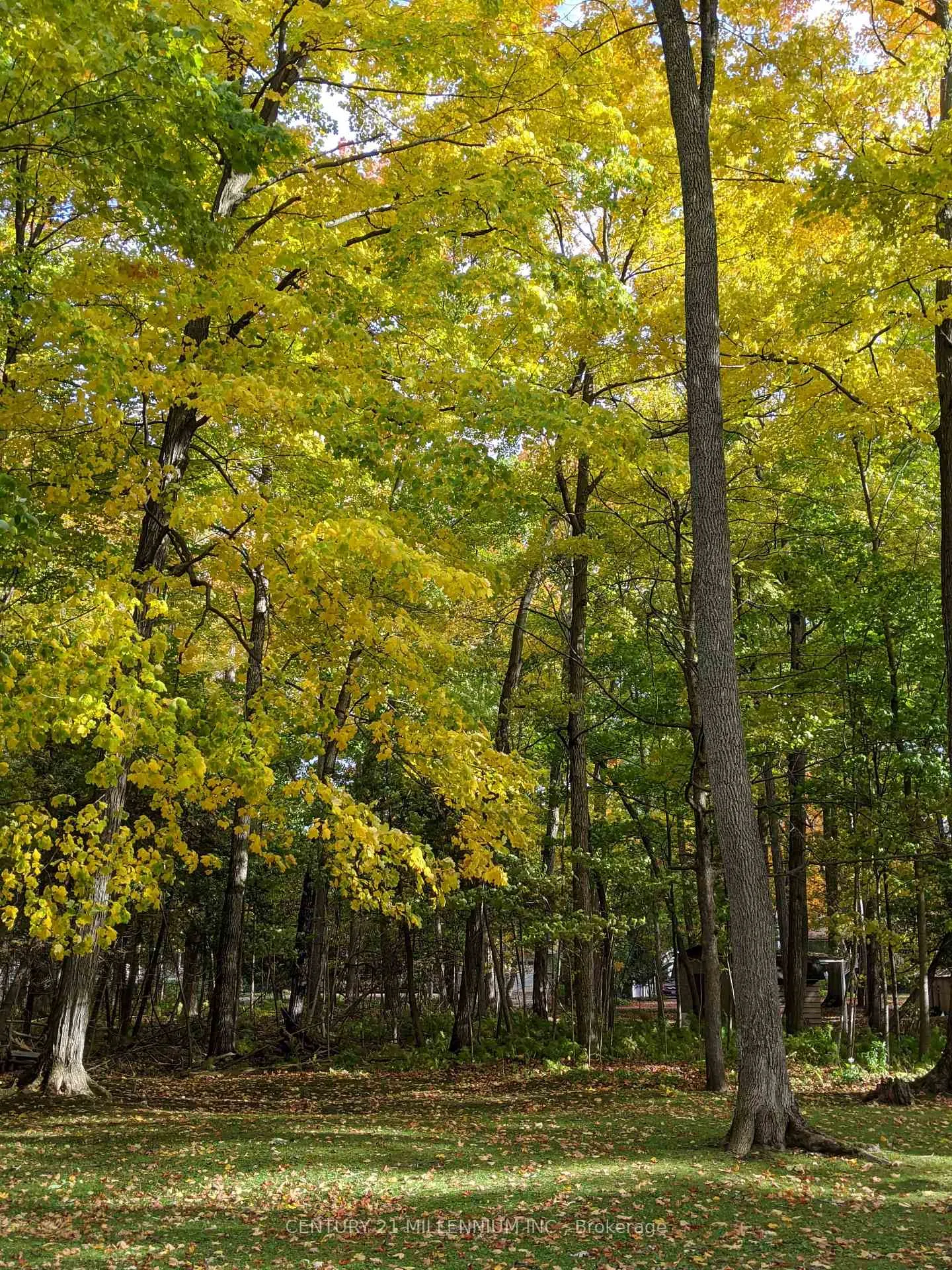 Photo 12 of 11 Knox Road E, Wasaga Beach — HOMEH