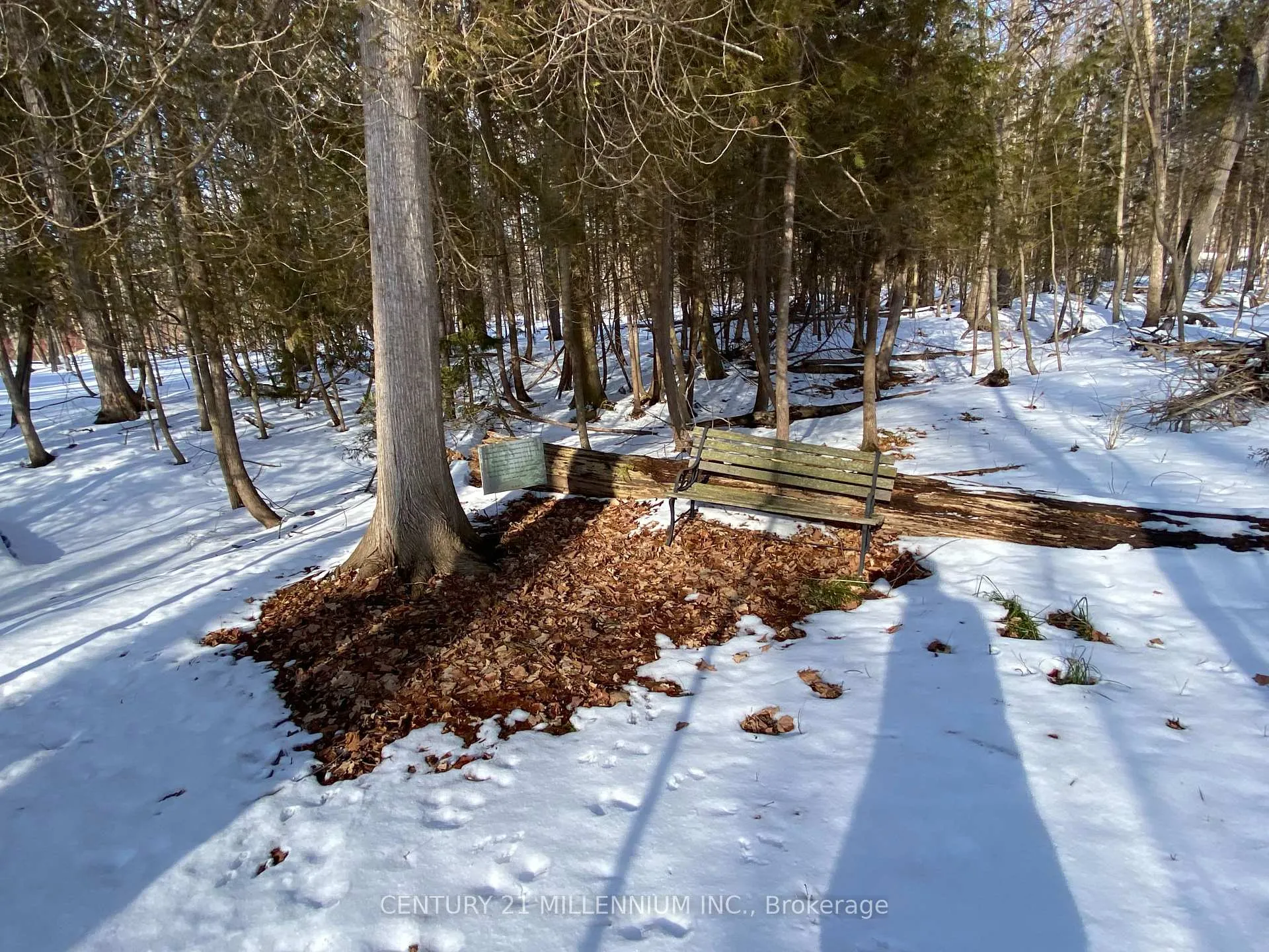Photo 15 of 11 Knox Road E, Wasaga Beach — HOMEH