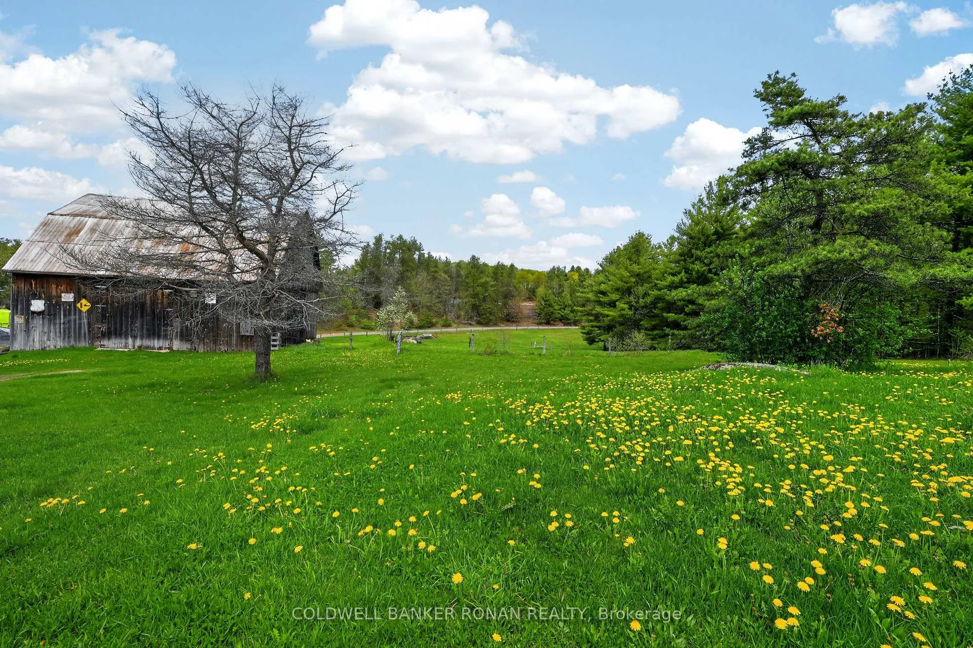 Photo 23 of 1043 Kirk Line East, Bracebridge, Macaulay — HOMEH