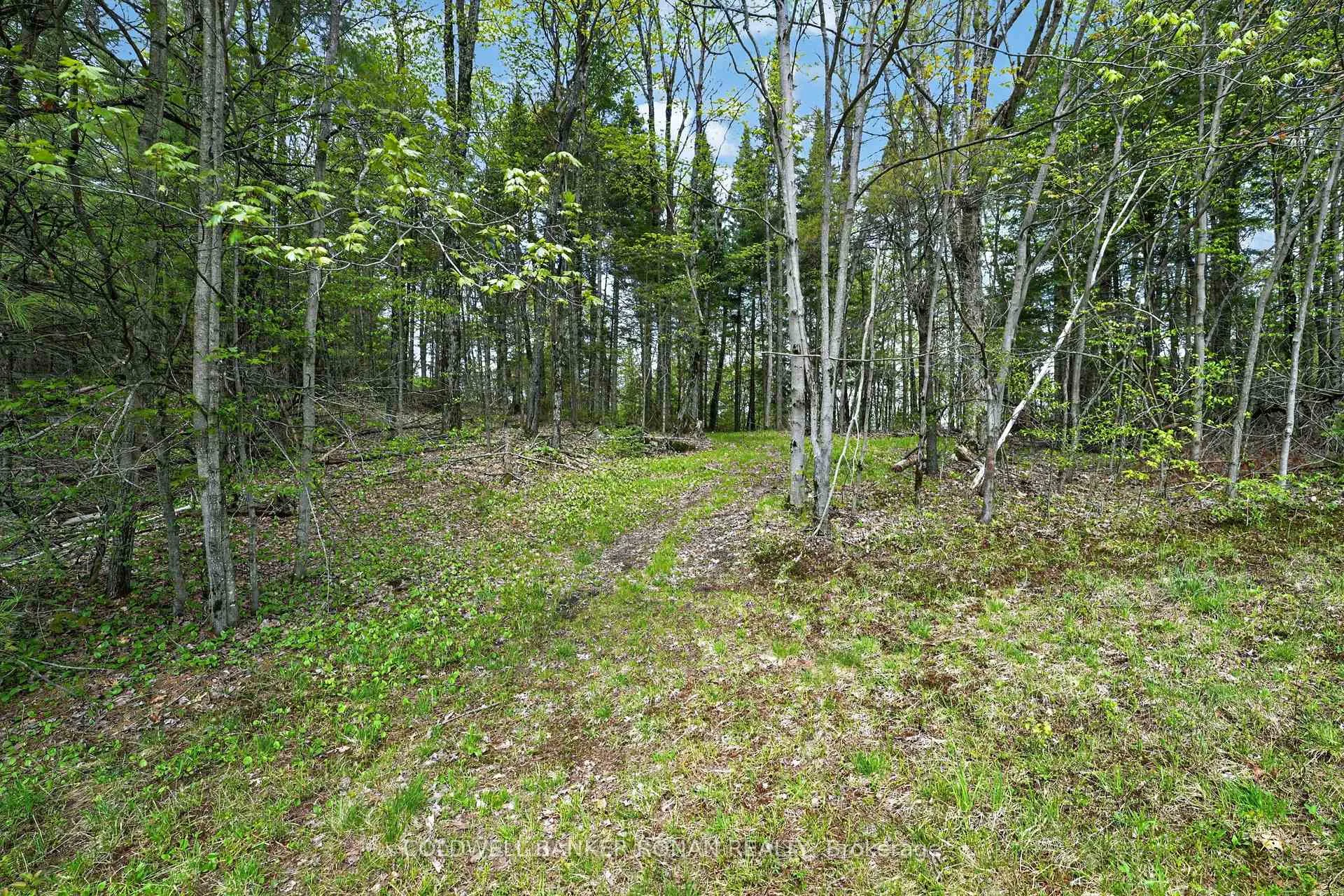 Photo 25 of 1043 Kirk Line East, Bracebridge, Macaulay — HOMEH