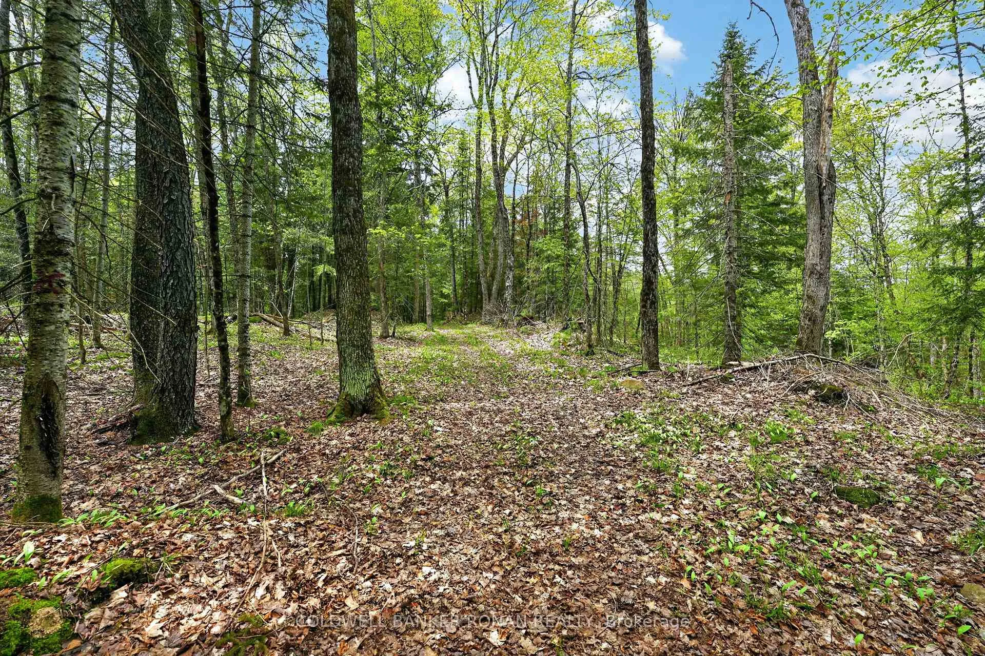 Photo 26 of 1043 Kirk Line East, Bracebridge, Macaulay — HOMEH