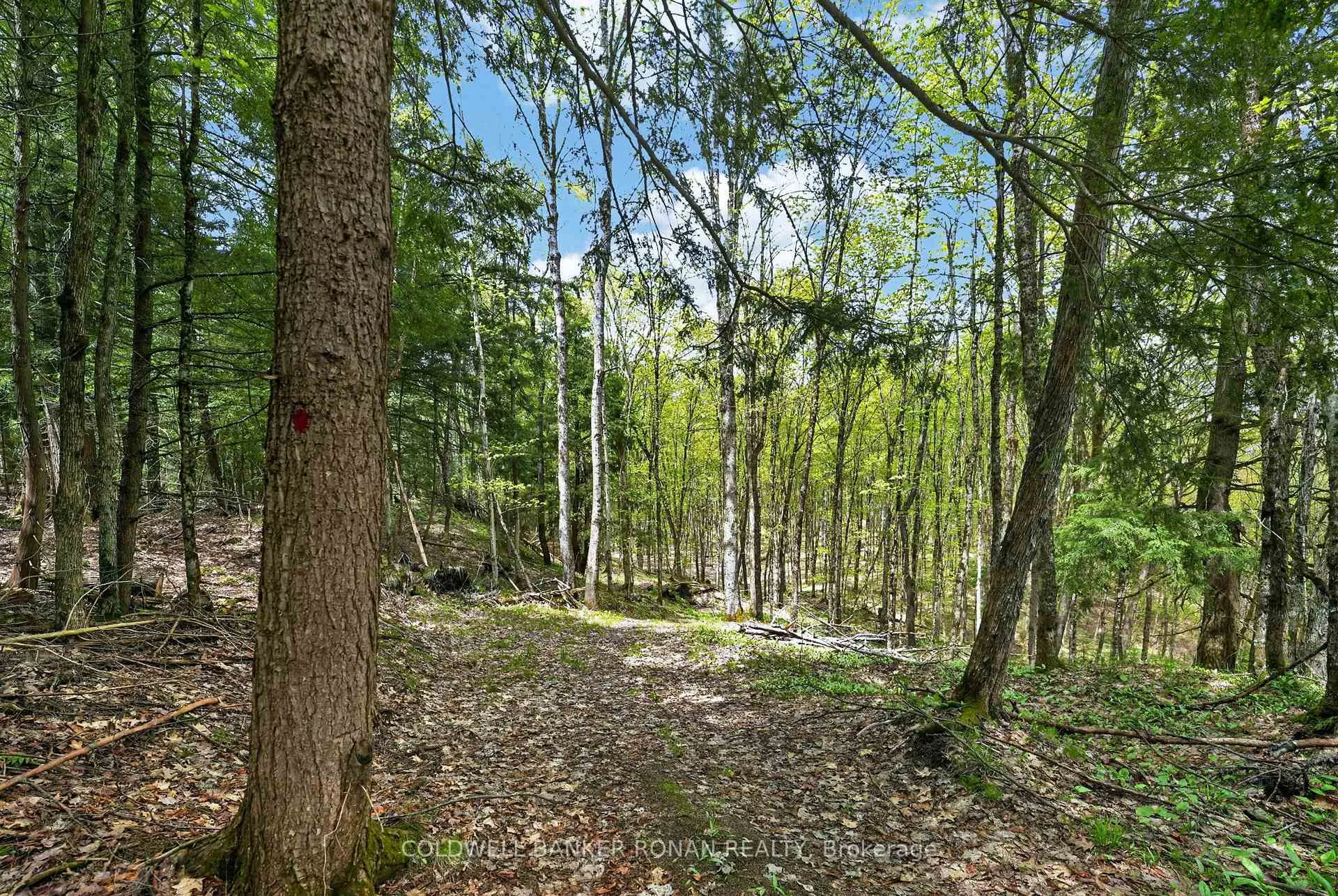 Photo 27 of 1043 Kirk Line East, Bracebridge, Macaulay — HOMEH