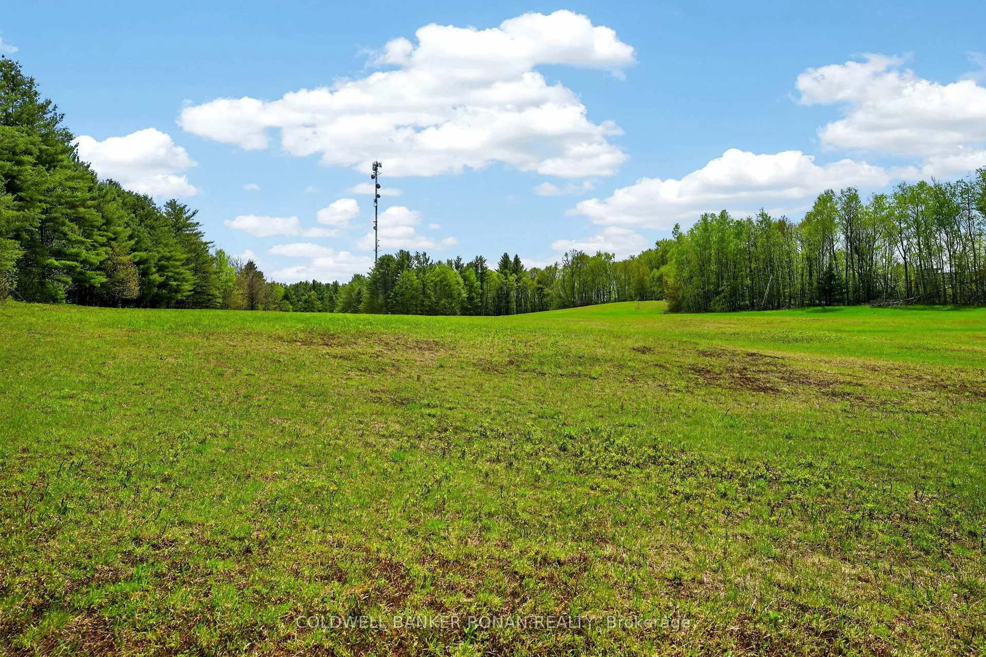 Photo 28 of 1043 Kirk Line East, Bracebridge, Macaulay — HOMEH
