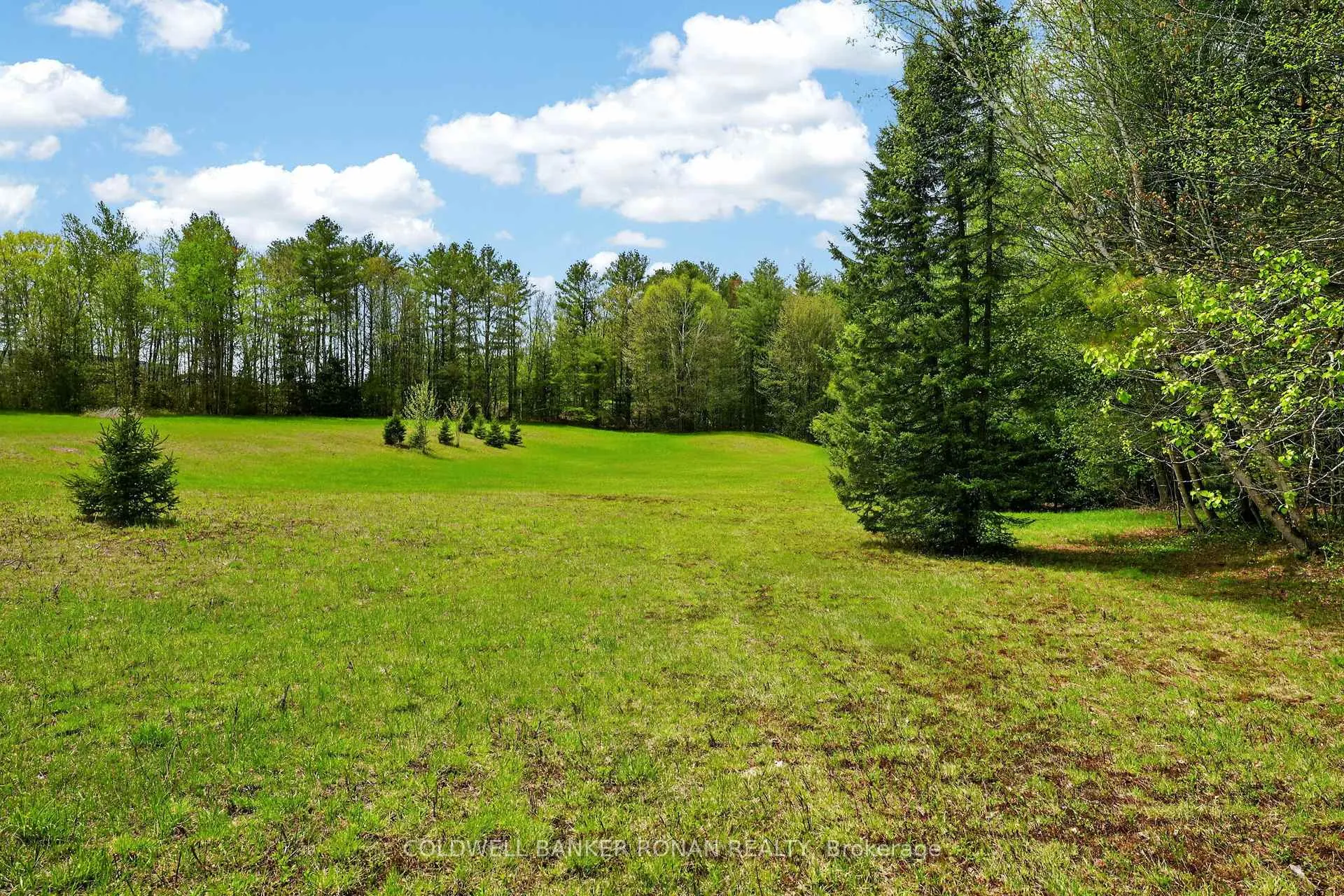 Photo 29 of 1043 Kirk Line East, Bracebridge, Macaulay — HOMEH