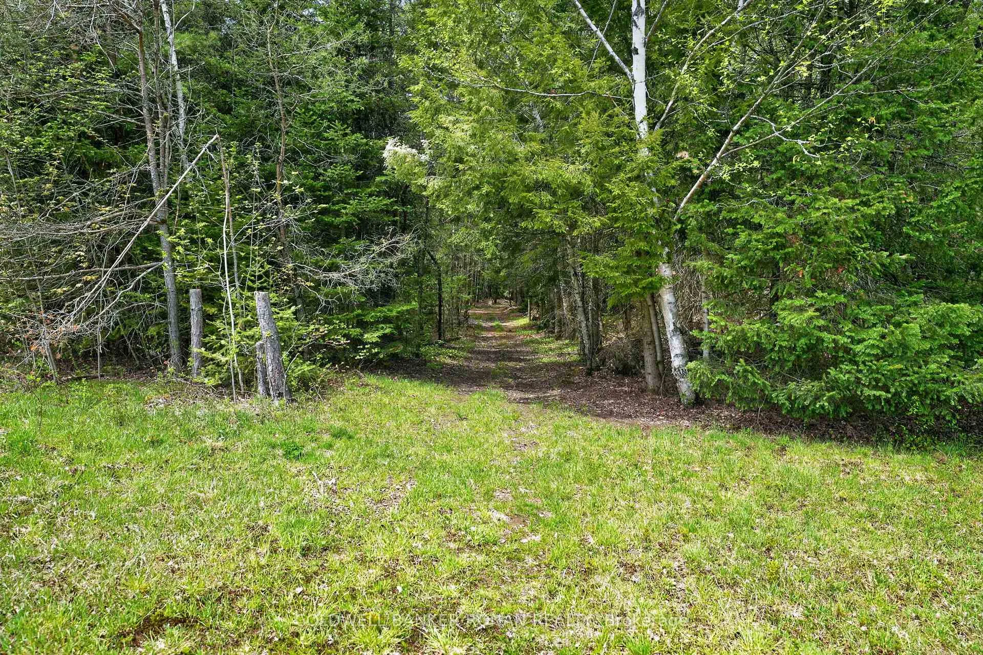 Photo 30 of 1043 Kirk Line East, Bracebridge, Macaulay — HOMEH