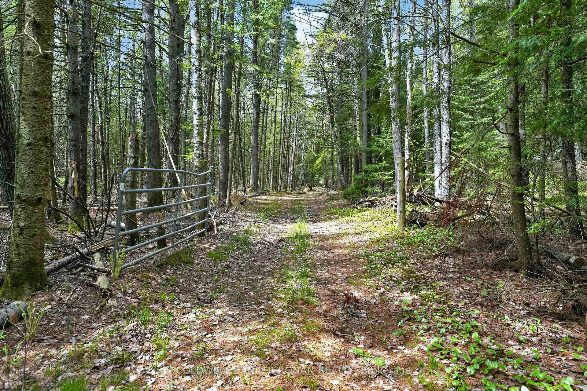 Photo 31 of 1043 Kirk Line East, Bracebridge, Macaulay — HOMEH