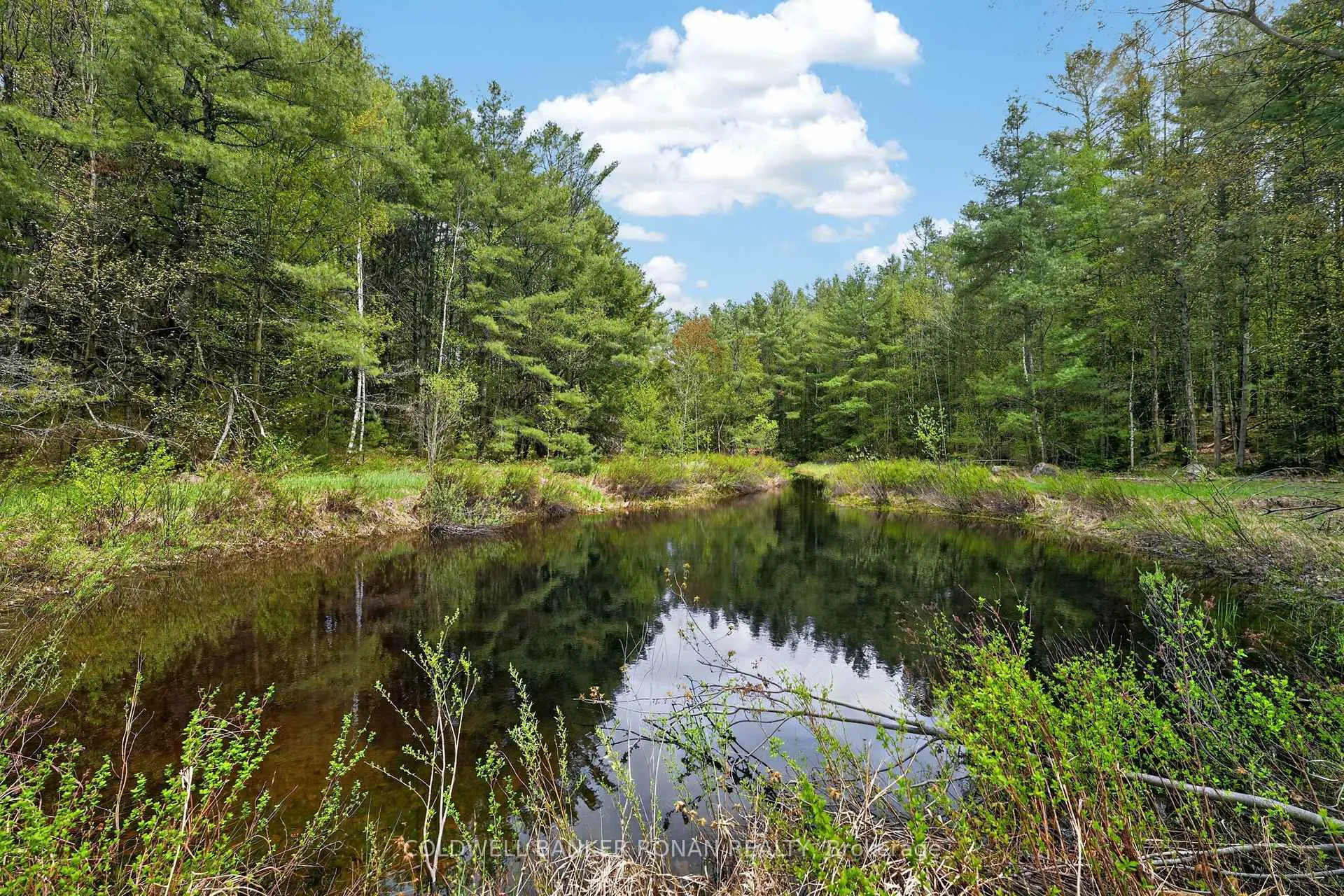 Photo 32 of 1043 Kirk Line East, Bracebridge, Macaulay — HOMEH