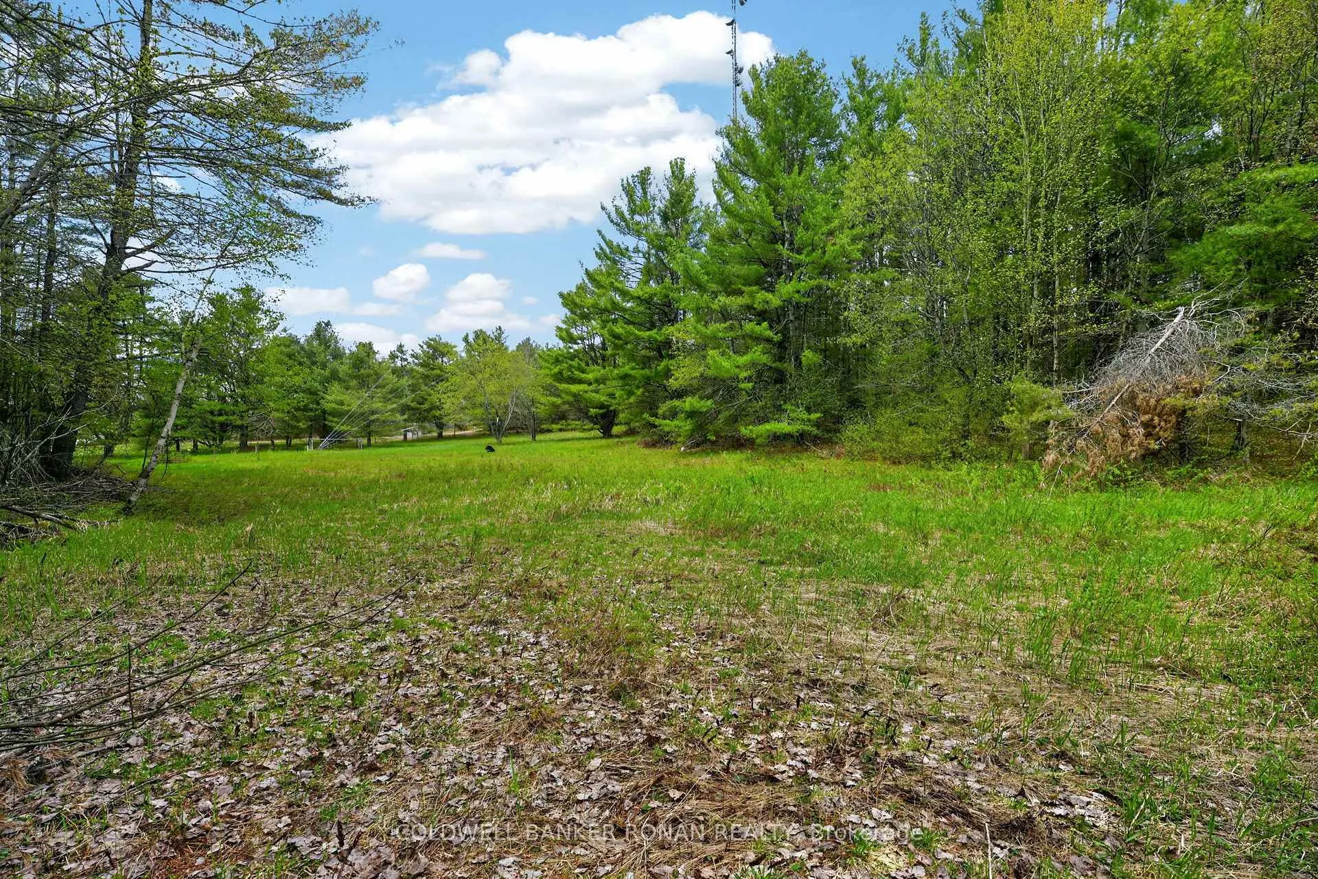 Photo 33 of 1043 Kirk Line East, Bracebridge, Macaulay — HOMEH