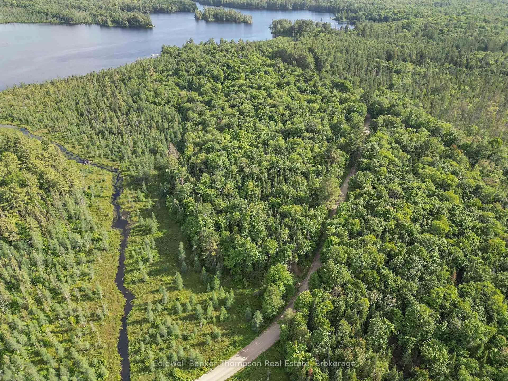 Photo of Part 3 Axe Lake Road