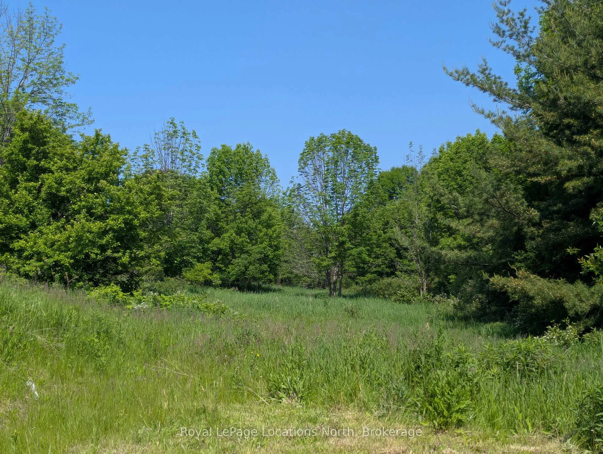 Photo 5 of PTLT 19 CON BROKEN FRONT Bayshore Road, Meaford — HOMEH