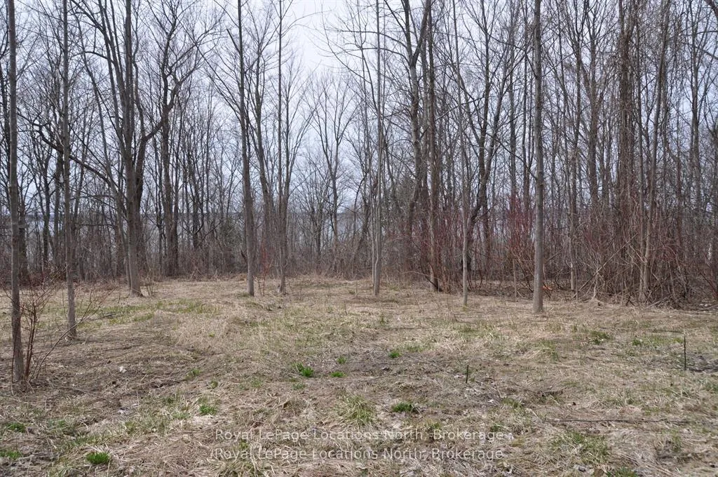 Photo 7 of PTLT 19 CON BROKEN FRONT Bayshore Road, Meaford — HOMEH