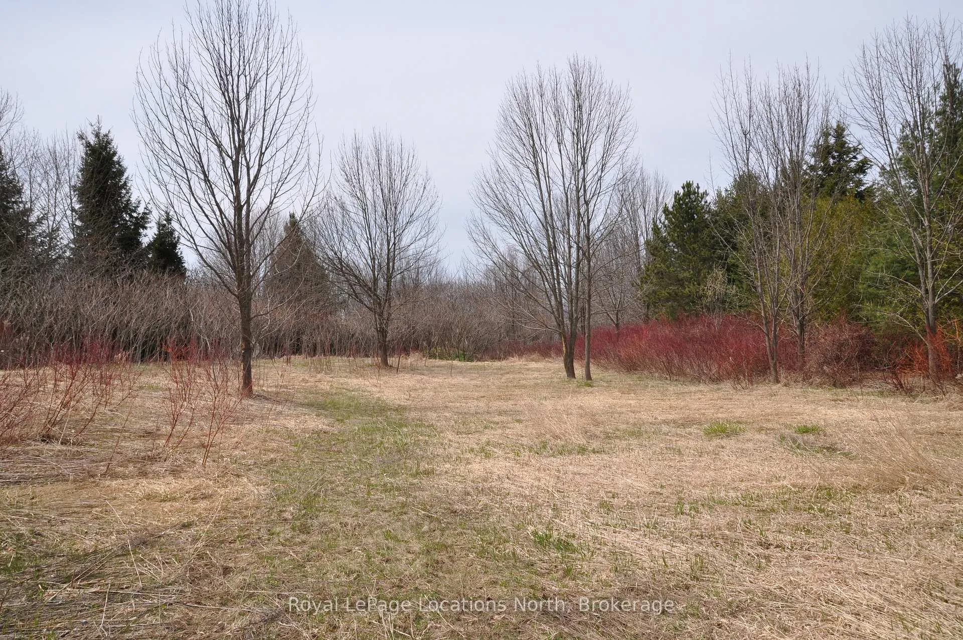 Photo 12 of PTLT 19 CON BROKEN FRONT Bayshore Road, Meaford — HOMEH