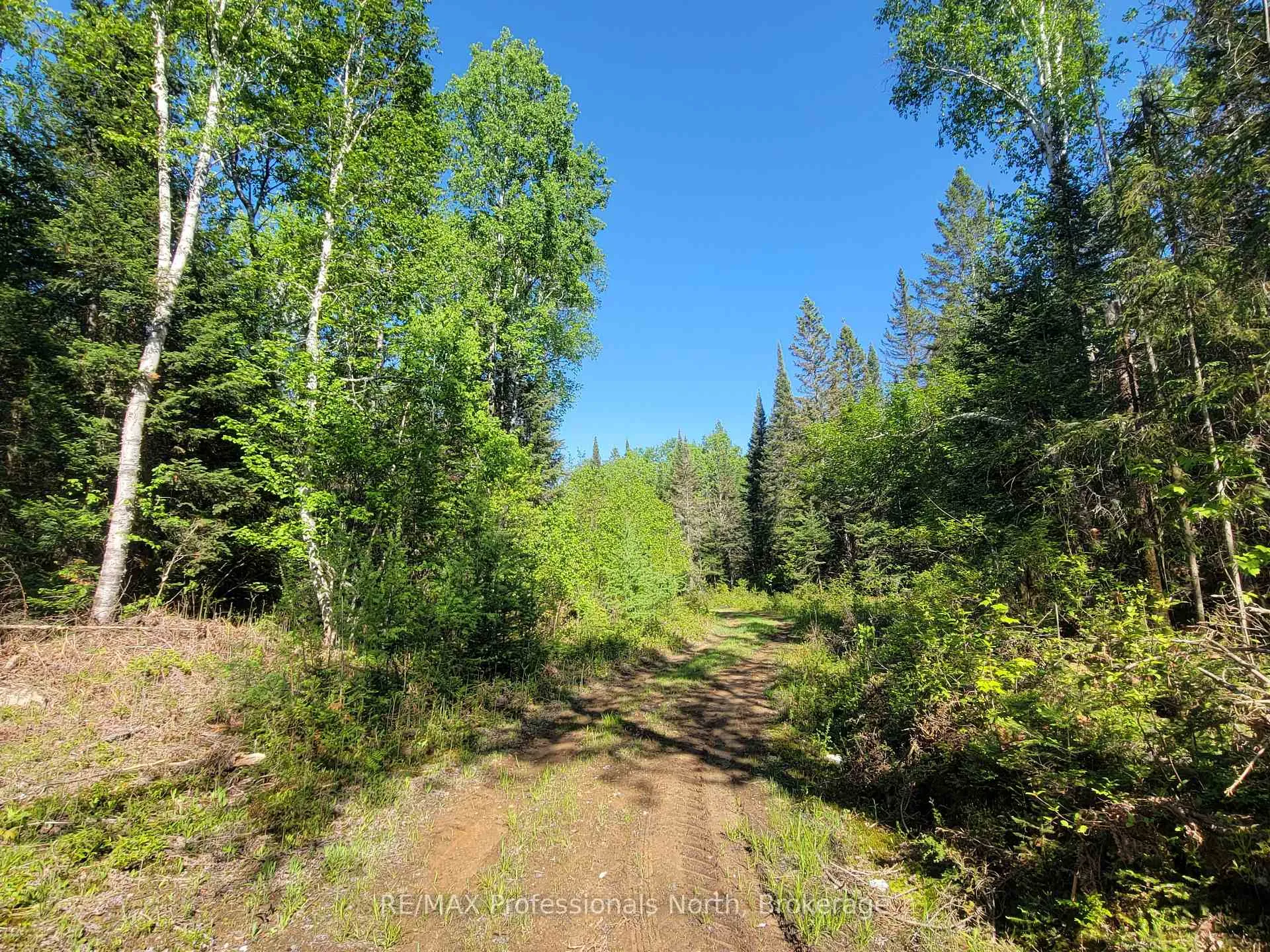 Photo 12 of 156 Butterfield Road, Powassan — HOMEH