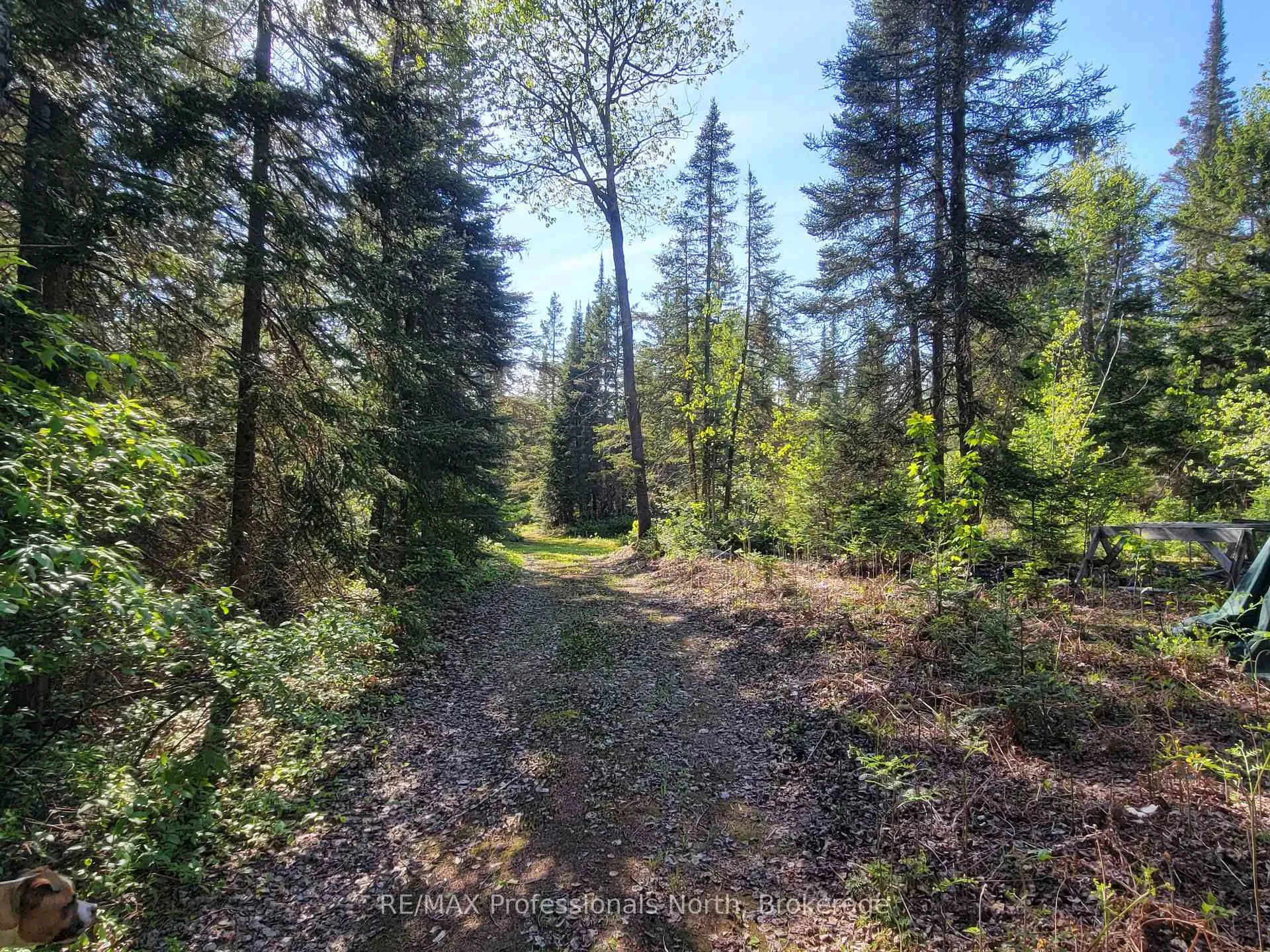 Photo 23 of 156 Butterfield Road, Powassan — HOMEH