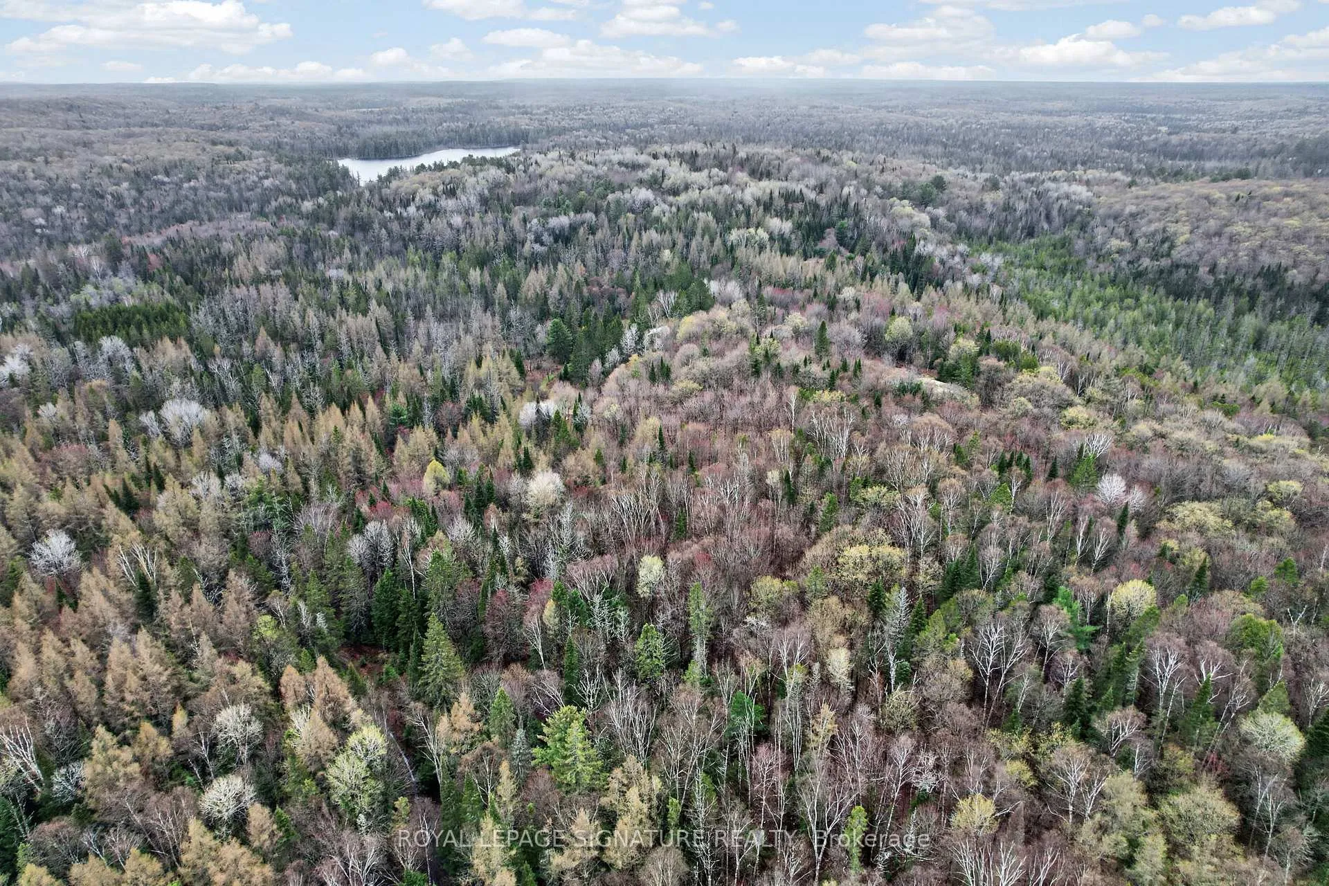 Photo 44 of 1223 Long Lake Road, Perry, Novar — HOMEH