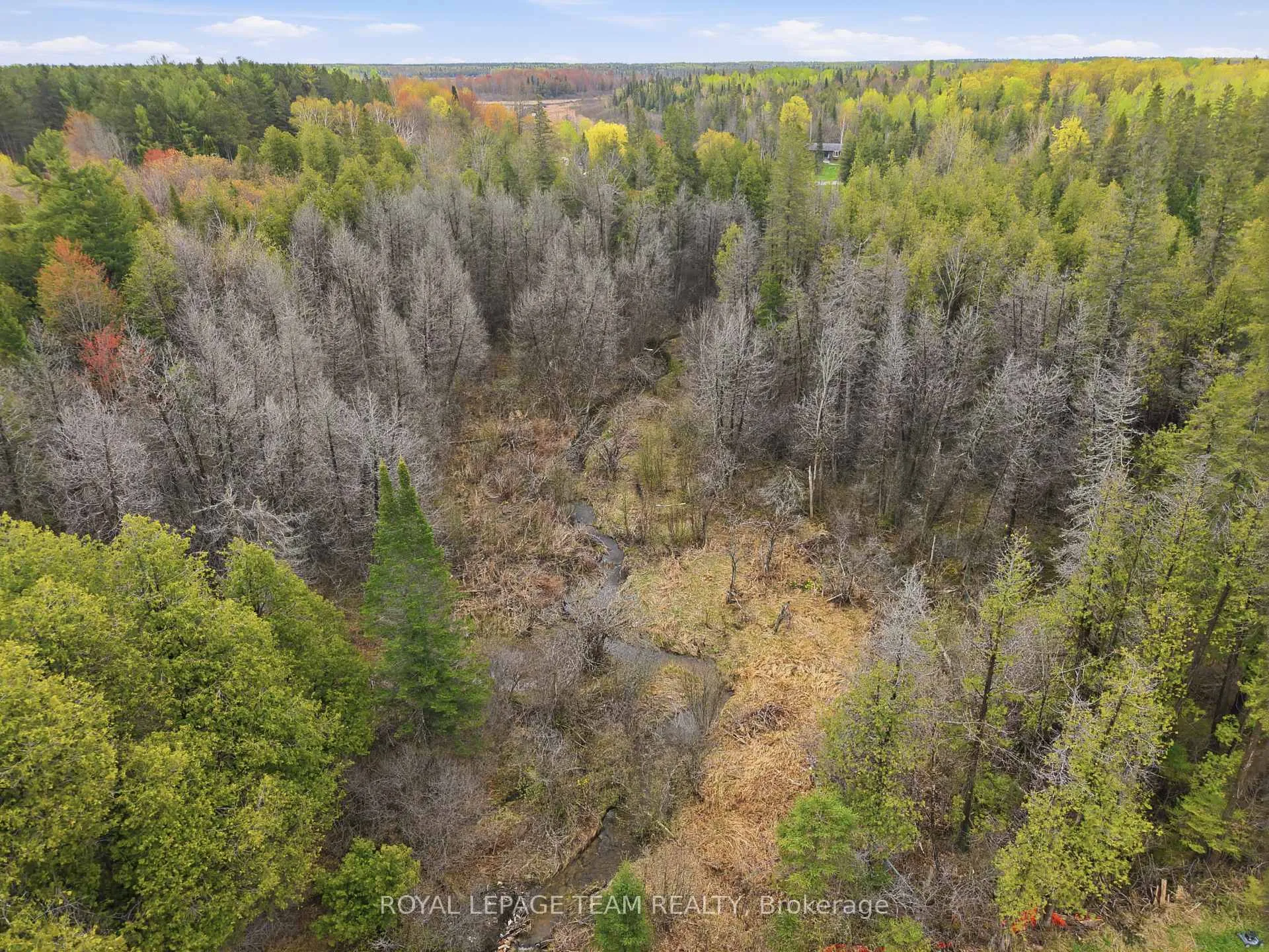 Photo 6 of 105 Pleasant Creek Drive, Ottawa, Huntley Ward (South West) — HOMEH