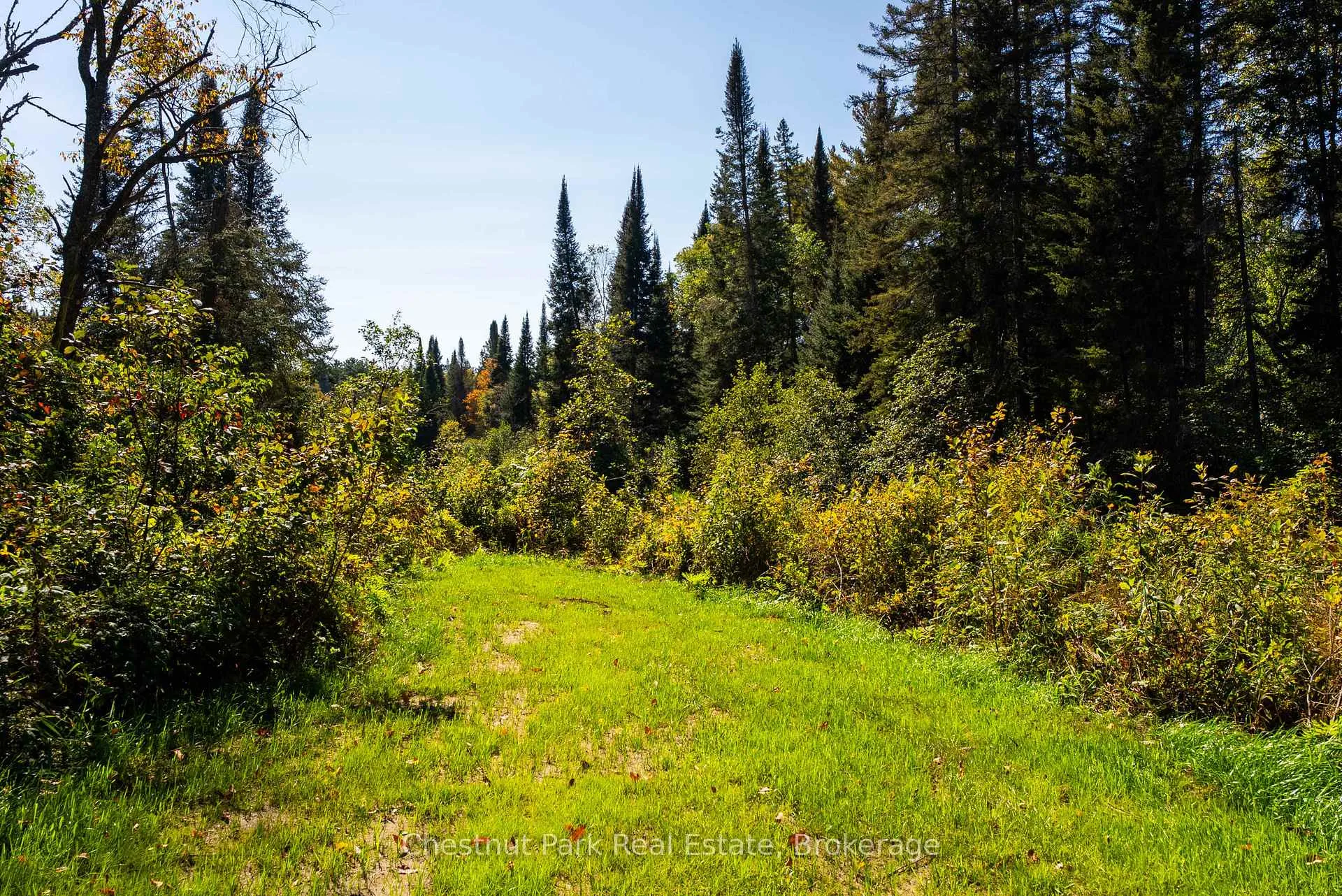 Photo 44 of 00 Deer Lake Road, Perry, Emsdale — HOMEH